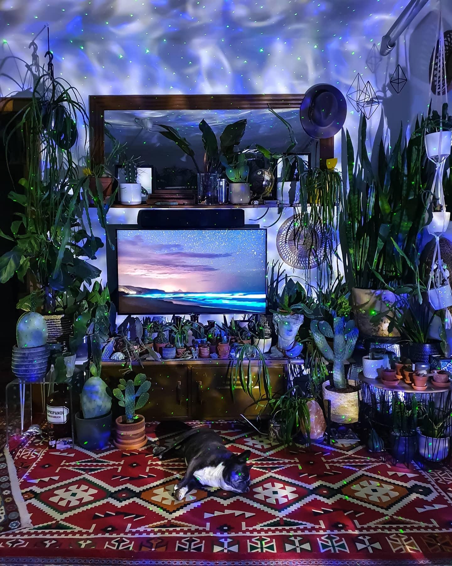 DREAMS #wohnzimmer #Pflanzen #galaxie #boho #hippie #kommode #sideboard #kaktus
