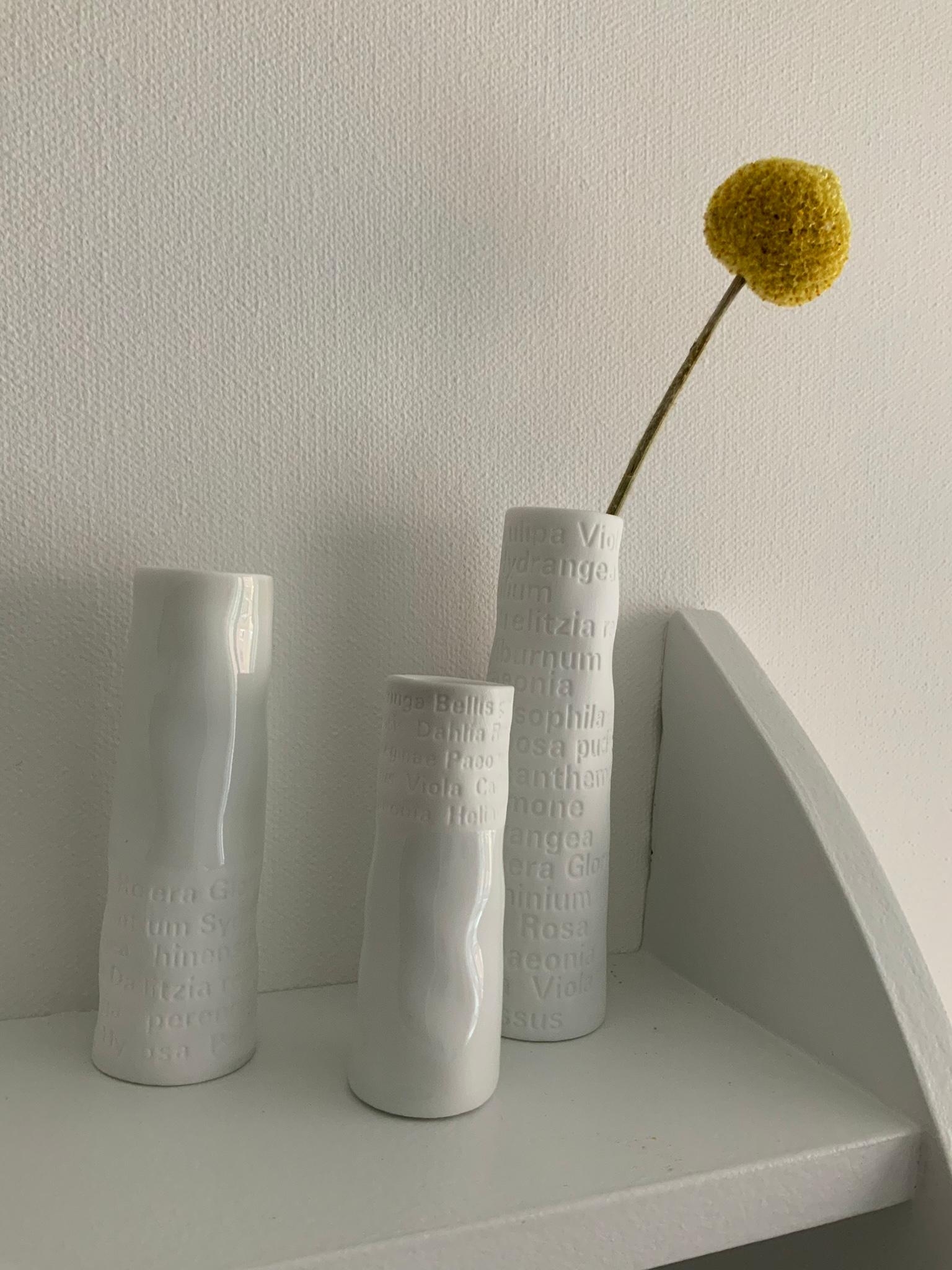 Drei kleine Neuzugänge 
#Vasen 
