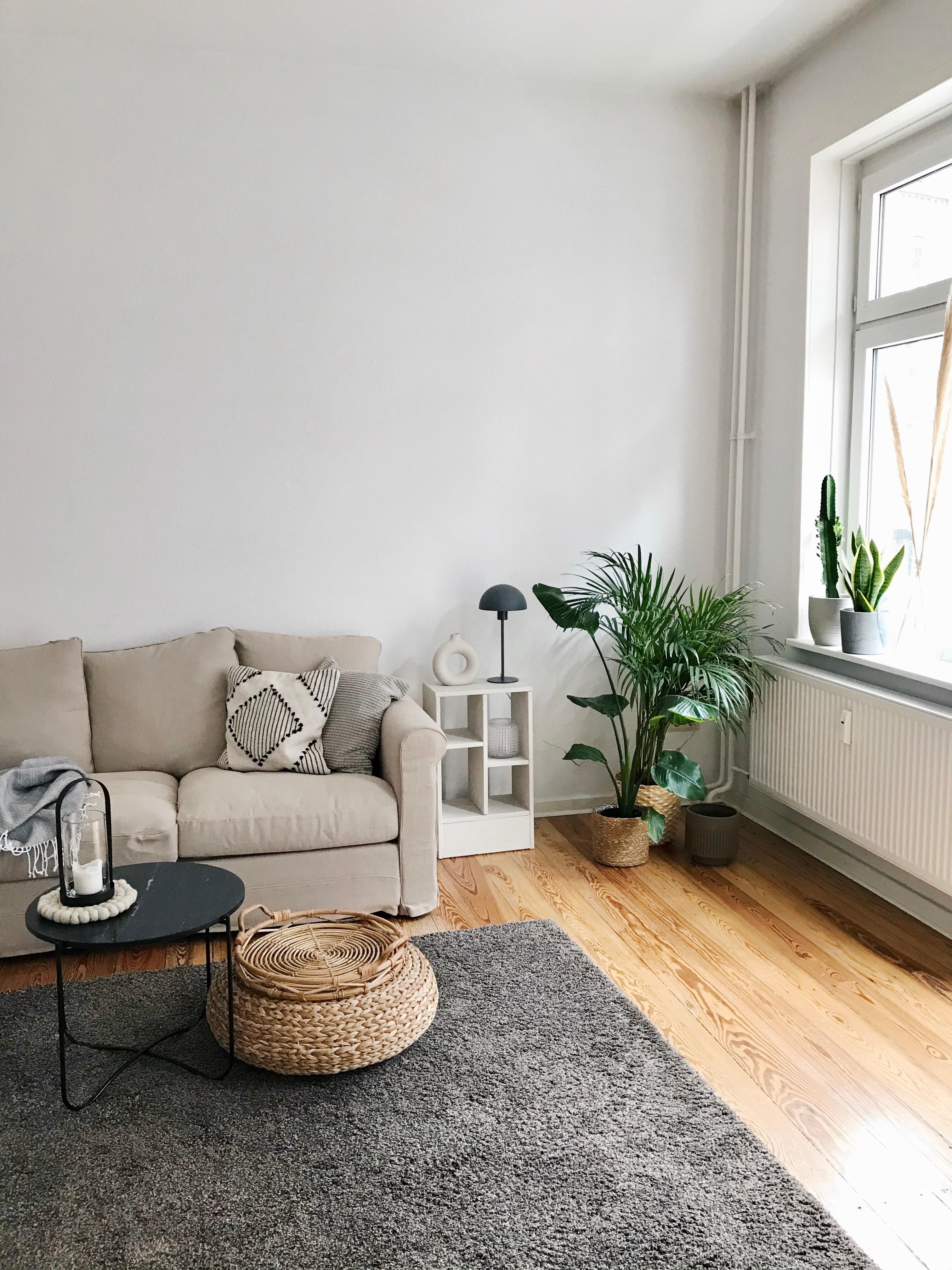 Durch die neue helle Couch wirkt das Wohnung noch gemütlicher. #altbau#dielen#wohnzimmer