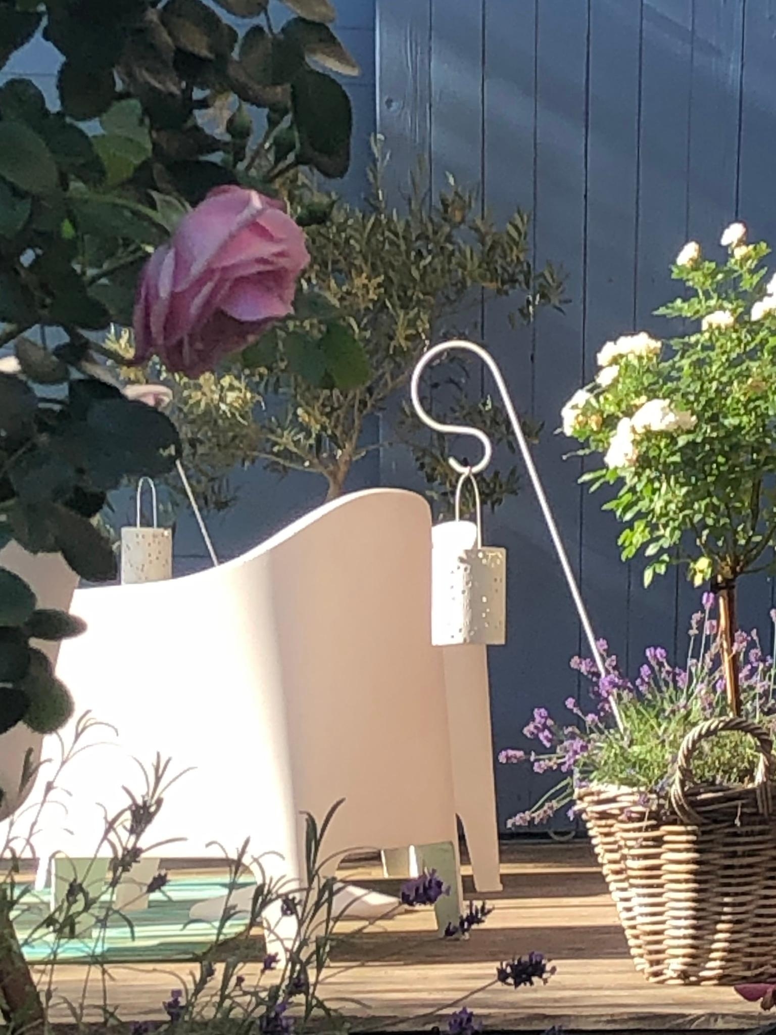 Durchblick auf die sonnige #terrasse...
#sommerfreuden #lavendel #rosen #laternen #gartenglück
