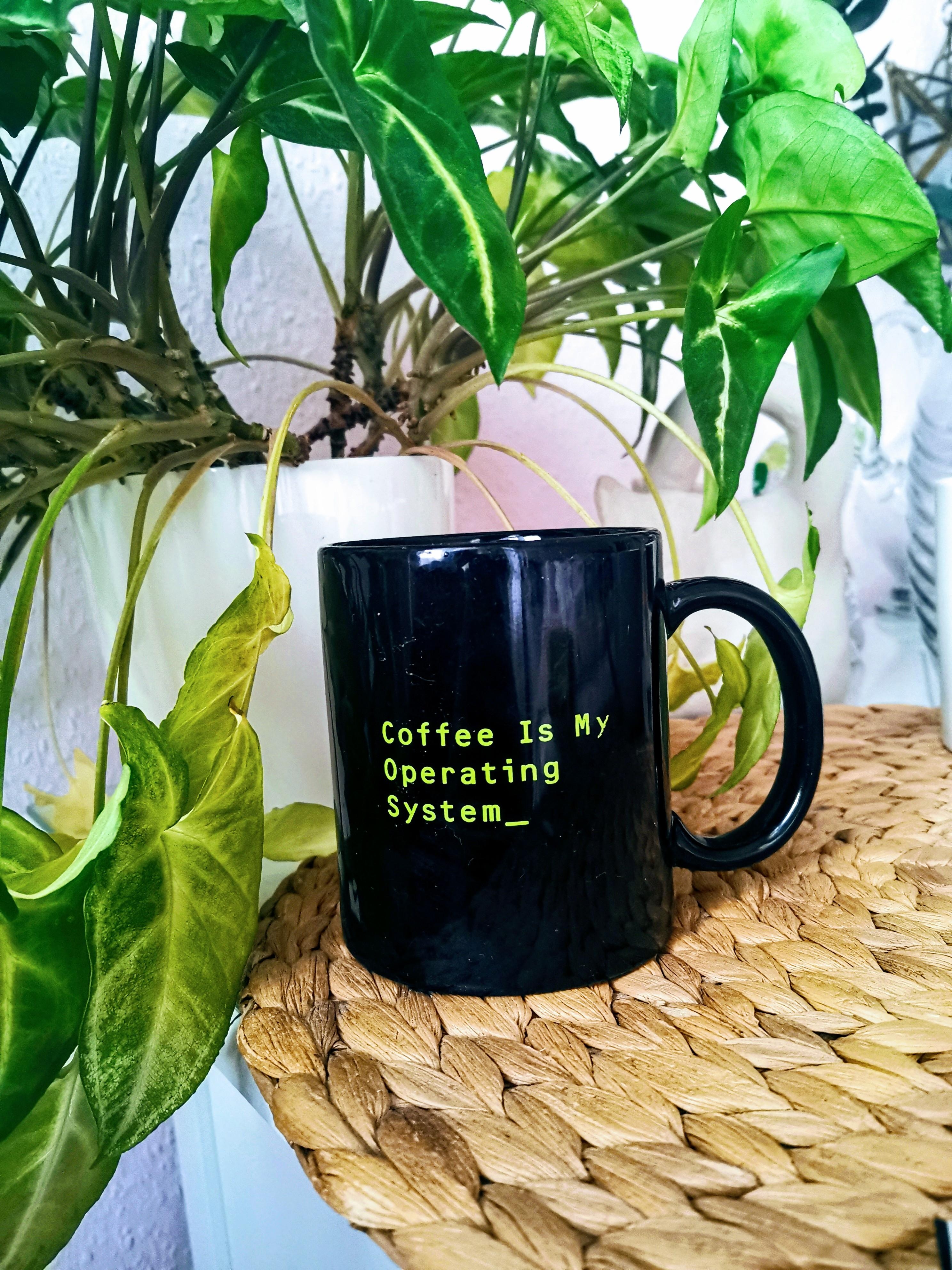 Egal ob #homeoffice oder im Büro mit den Kollegen. Der Satz stimmt immer.
#kaffee #kaffeeliebe #pflanzen