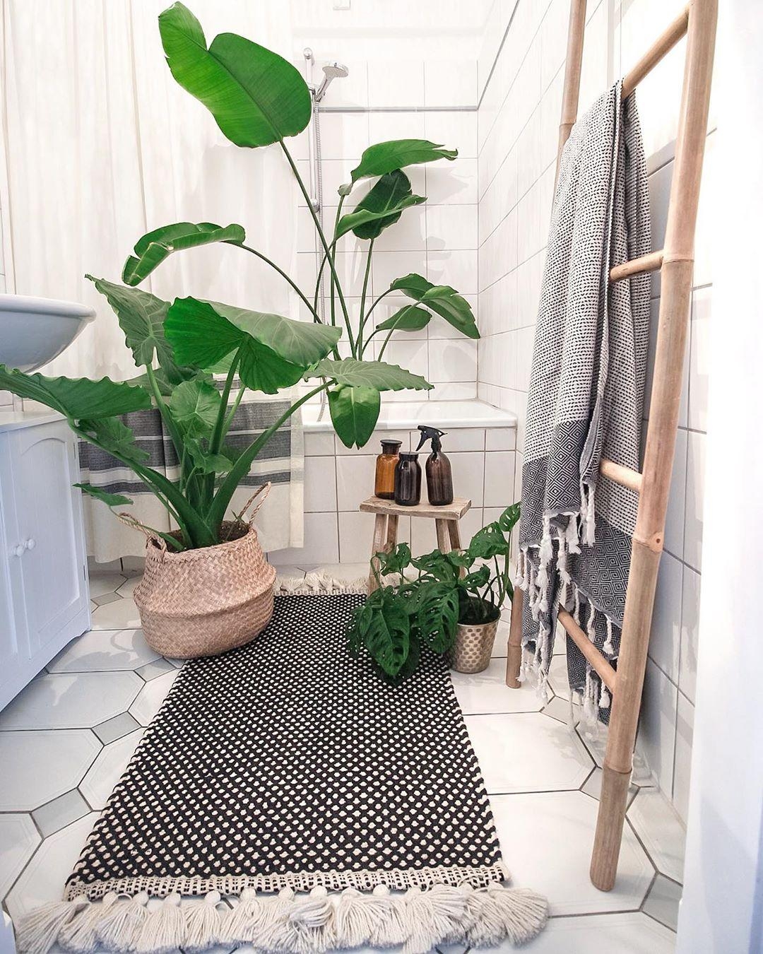 Ein Badetag für unsere #Pflanzen.🍀

#livingchallenge #badidee #badezimmer #teppich #bathroom #leiter #bad #badwanne