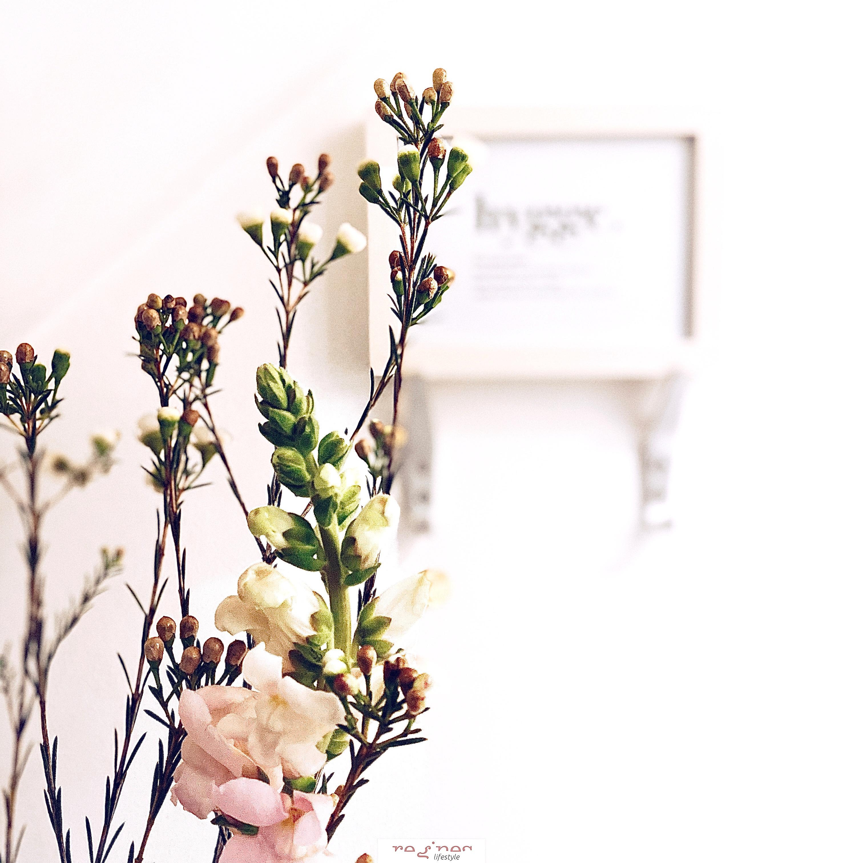 Ein bisschen Frühling im Gäste-WC ...

#wachsblumen #löwenmäulchen #freshflowers #hygge #whiteliving #minimalismus 