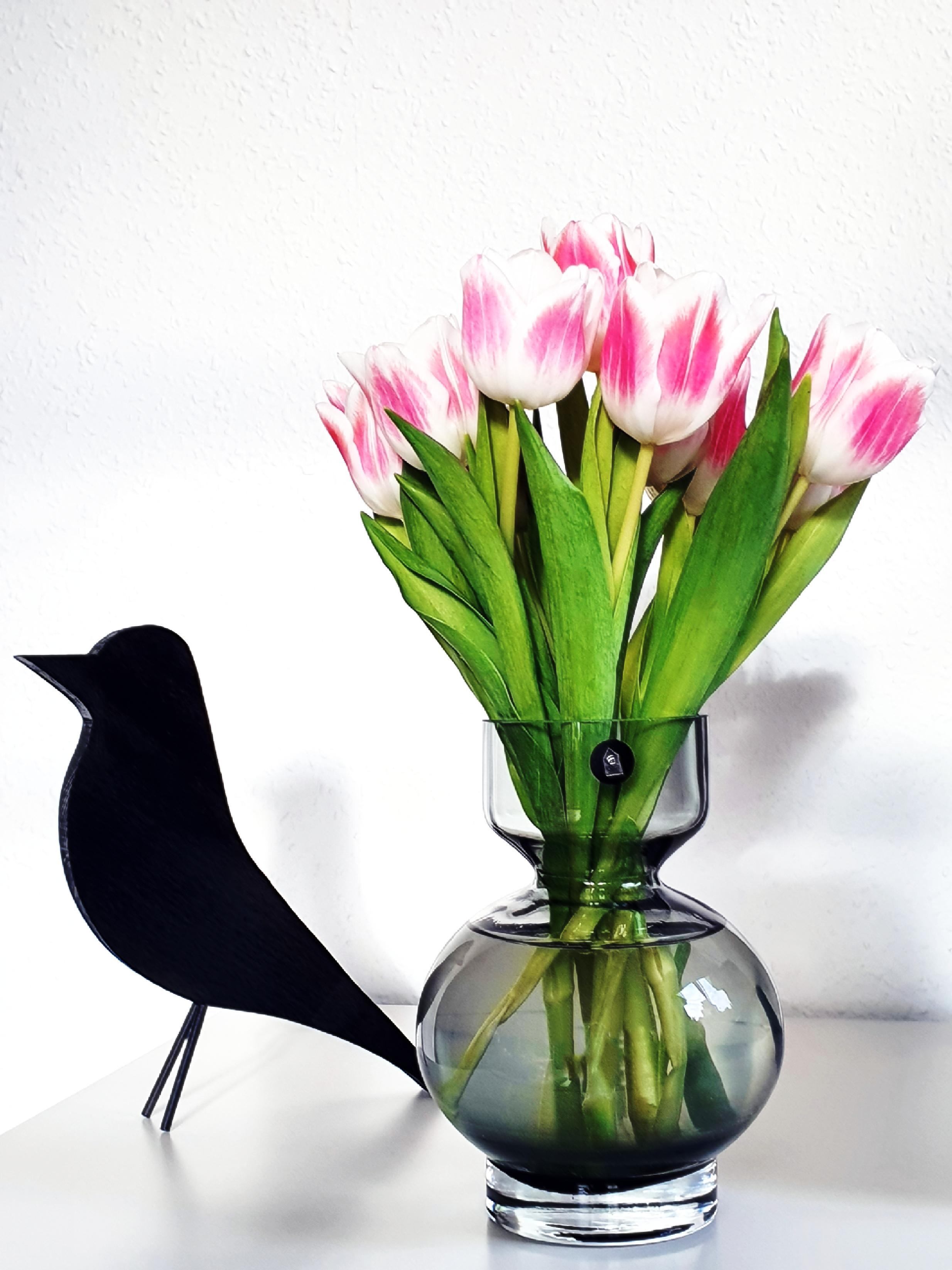 Ein bisschen Frühling ist eingezogen...

#flowers #freshflowers #tulpenliebe #tulpenglück #tulpen #couchstyle