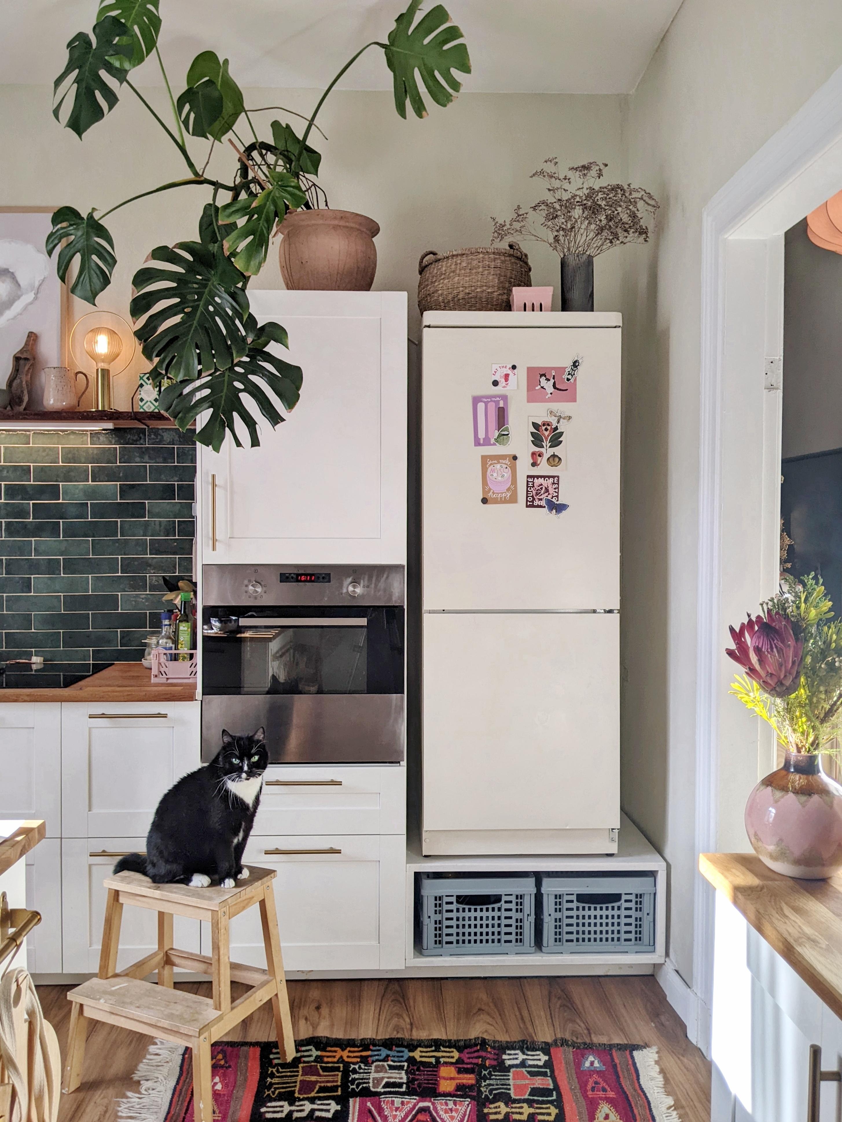 Ein bisschen Liebe für unsere Kühlschränke 💕 #kühlschrank #küche