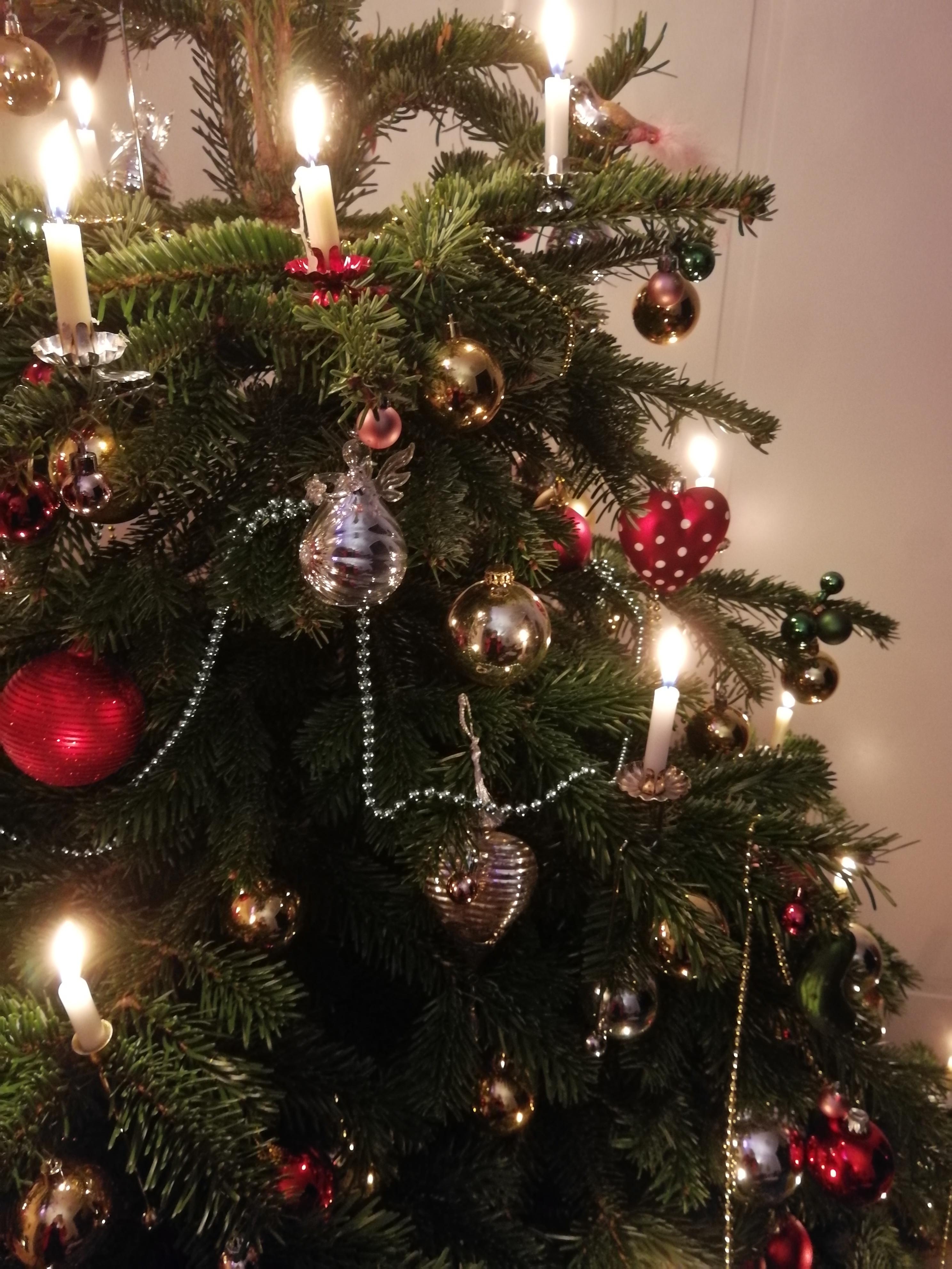 Ein bisschen sehr spät dran 🙈 #weihnachten #echtekerzenambaum #deko 