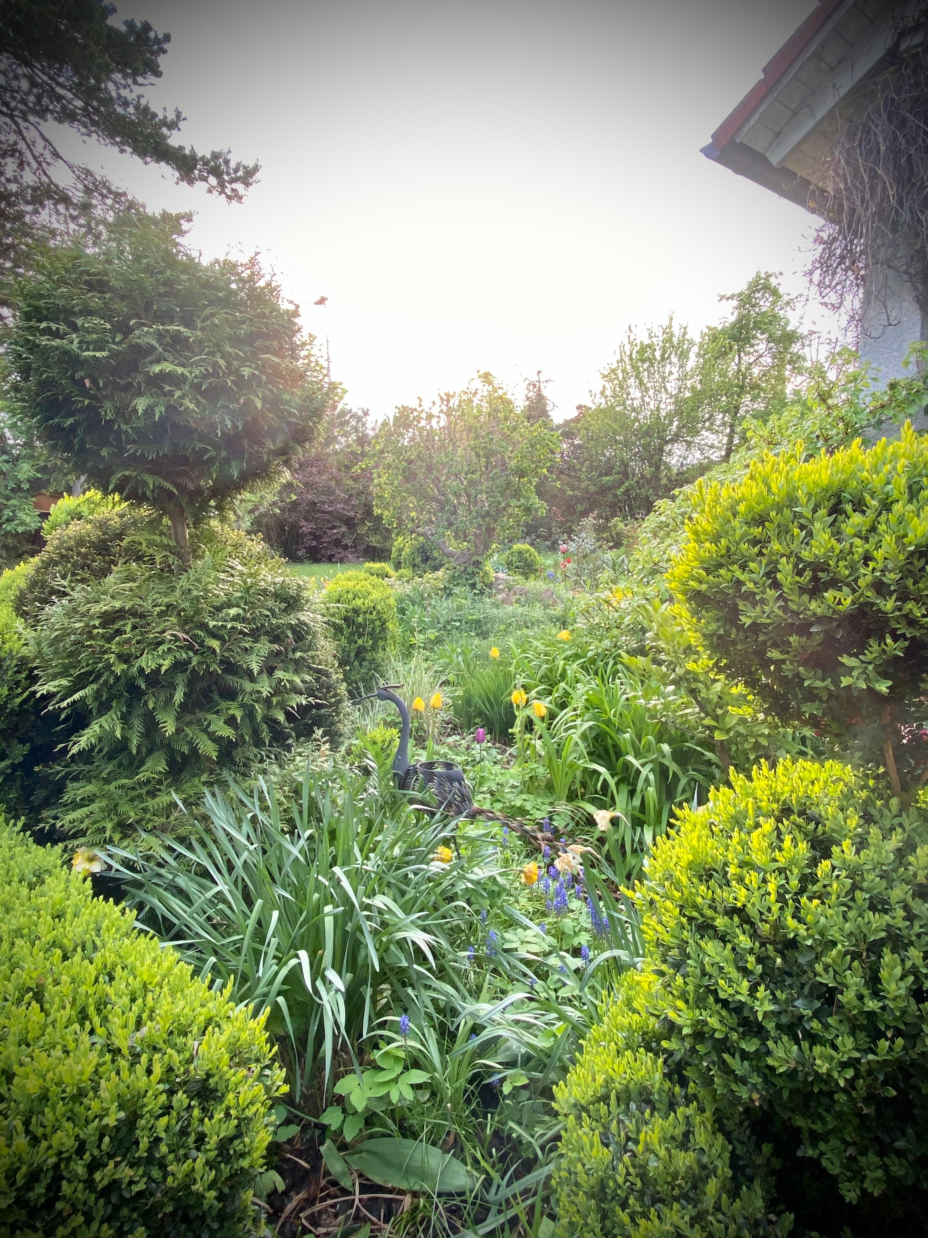 Ein Blick von der Terrasse in unseren Traumgarten! 
#livingchallenge #outdoor 