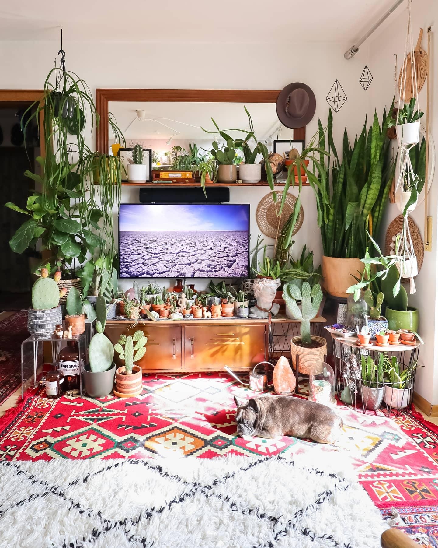 Ein guter Tag #wohnzimmer #Pflanzen #boho #hippie #teppich