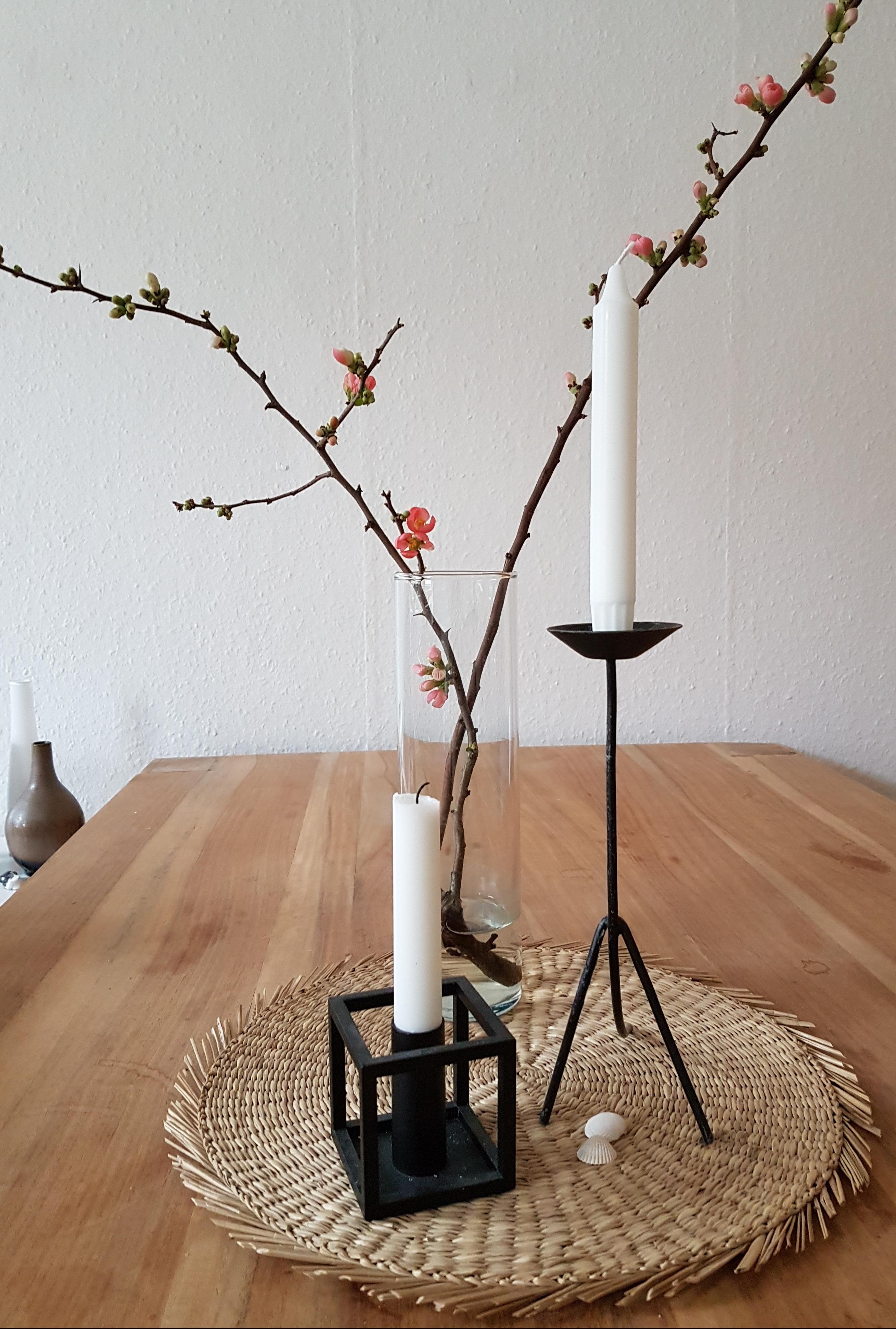 Ein Hauch von Frühling in der Wohnung  🌸 
#Frühling #Blumen #Blumenliebe #Kerzen #minimalismus #minimalist 