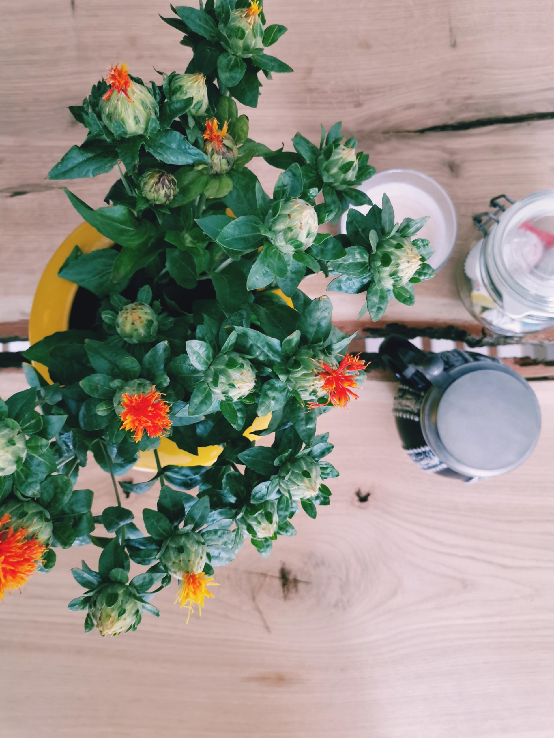 Ein Kaffee mit frischen Blumen am Holztisch #coffeetable #livingchallenge 