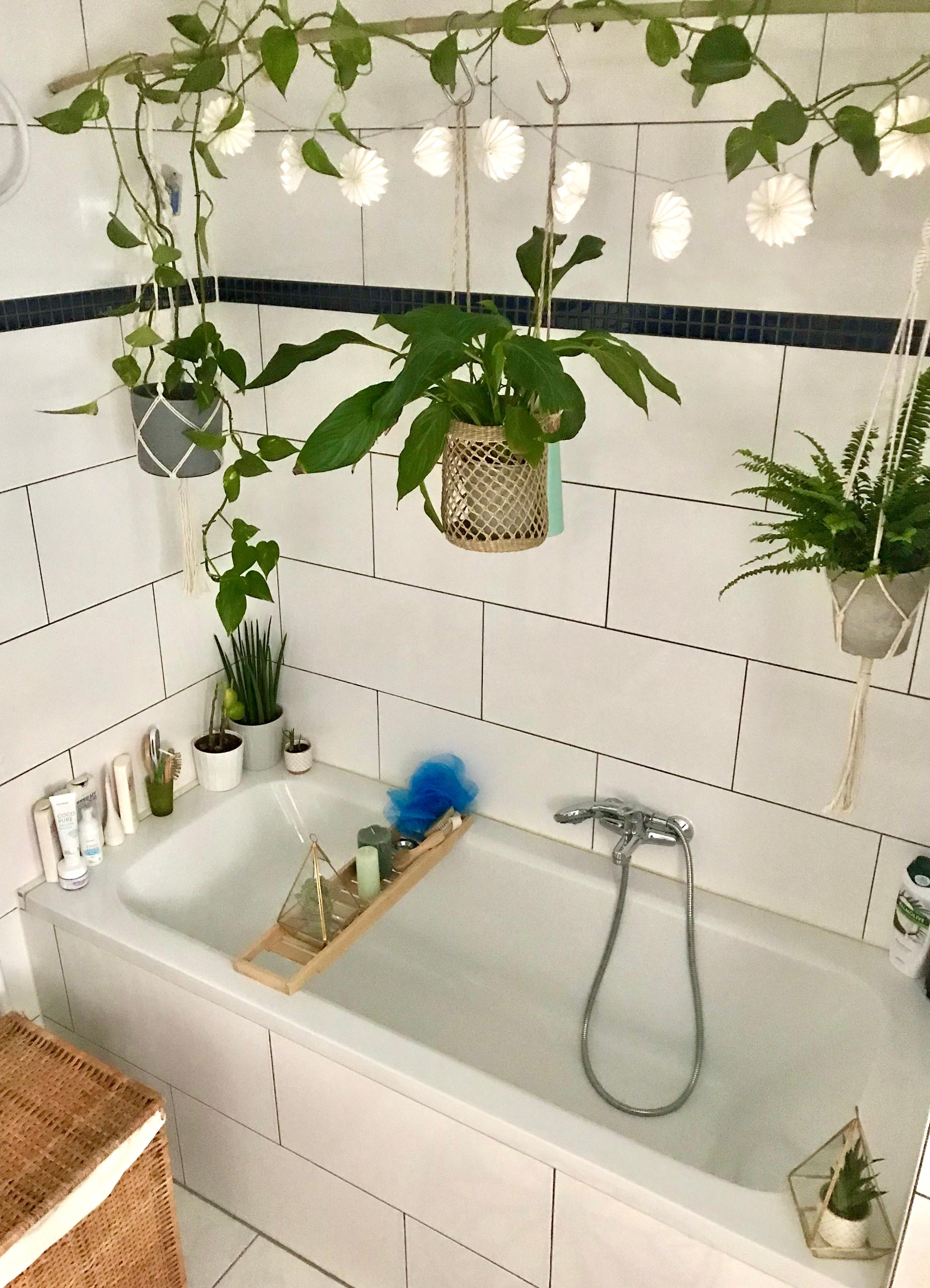 Ein kleiner Einblick in mein #badezimmer #green #Pflanzen #jungle #pflanzenliebe