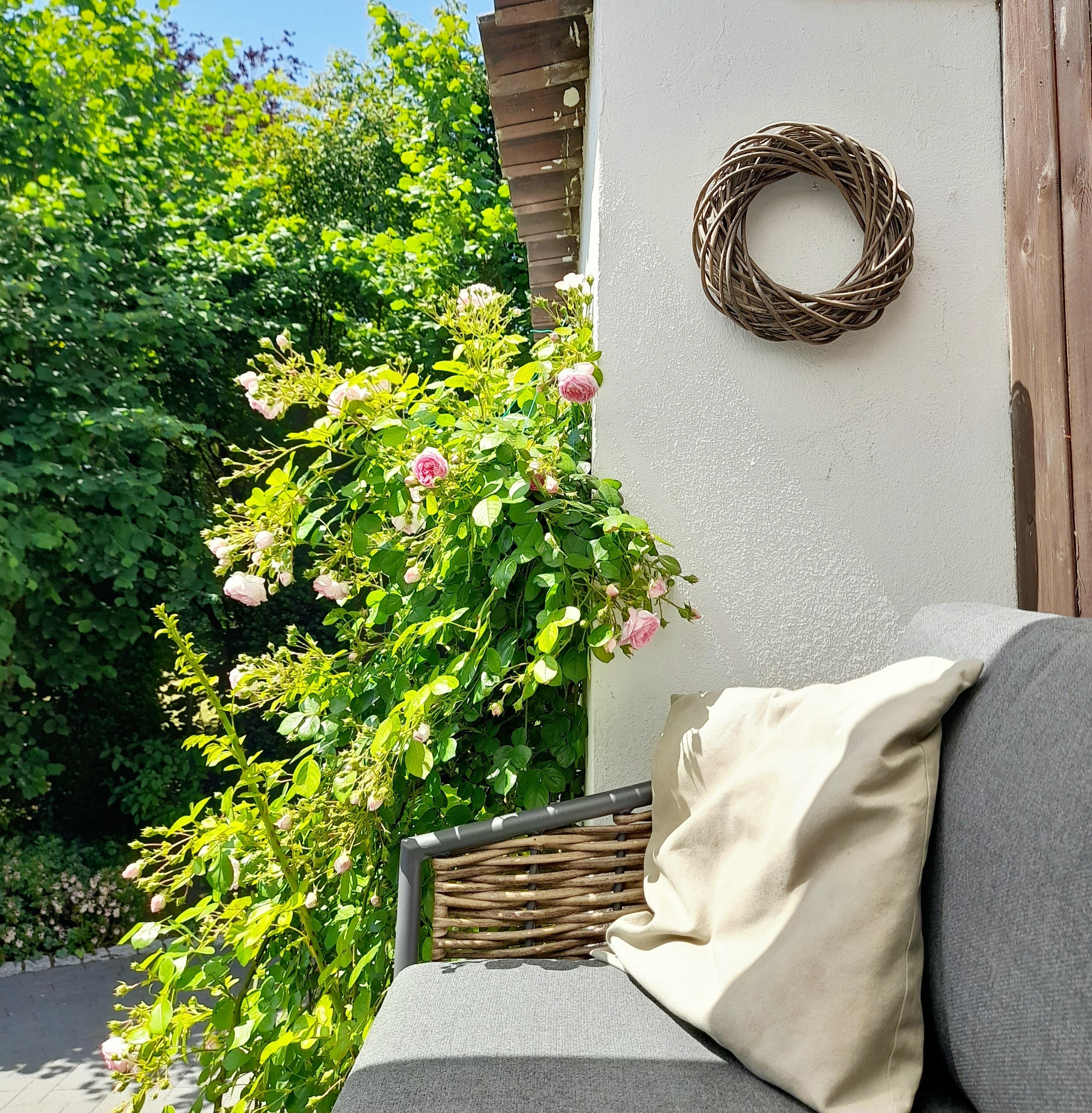 Ein Mittagspäuschen auf der Terrasse, wie schön! #kletterrose #garten