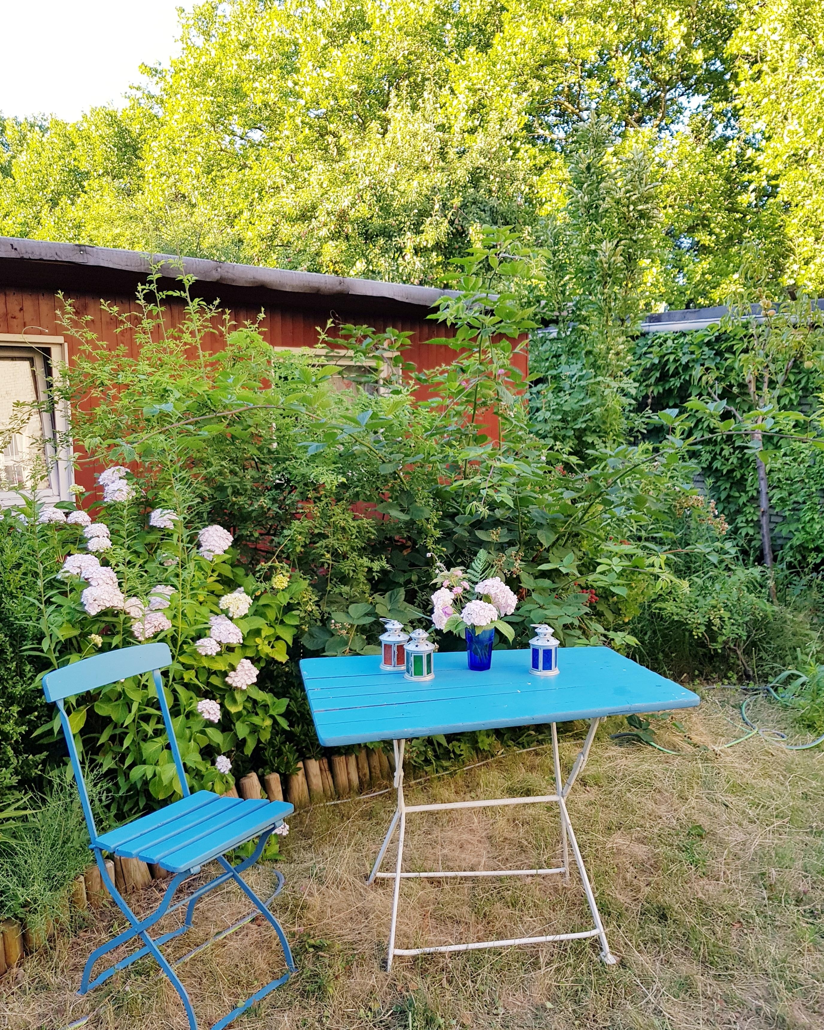 Ein Ort der Ruhe, in unserem Garten 🌳🌾🌳 #schrebergarten  #berlin