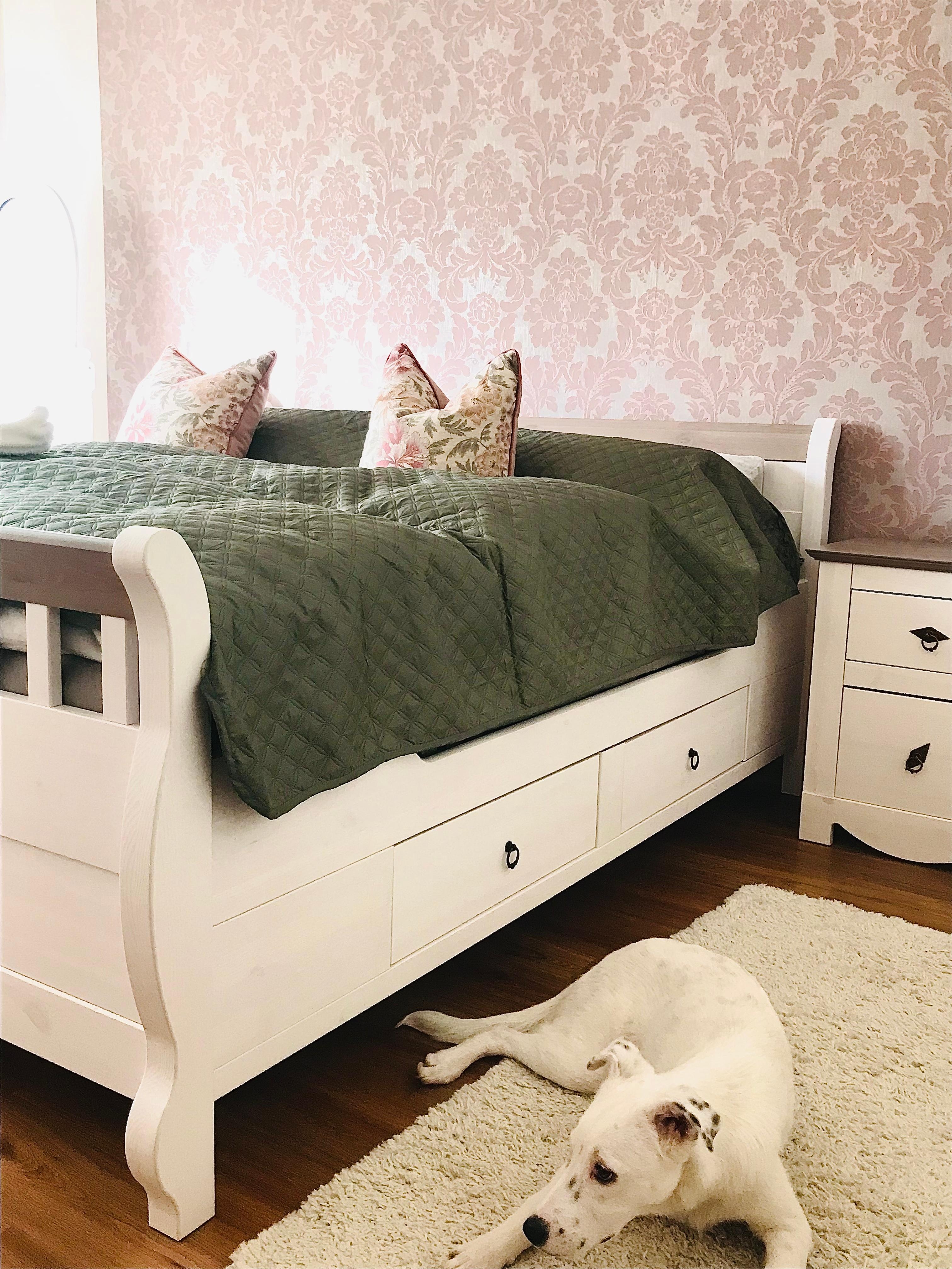 Ein Raum zum träumen 🛌 
#bedroom #mirgefällts #happyhome #dog #white #bett #tagesdecke #kissen #holzbett #nachttisch 