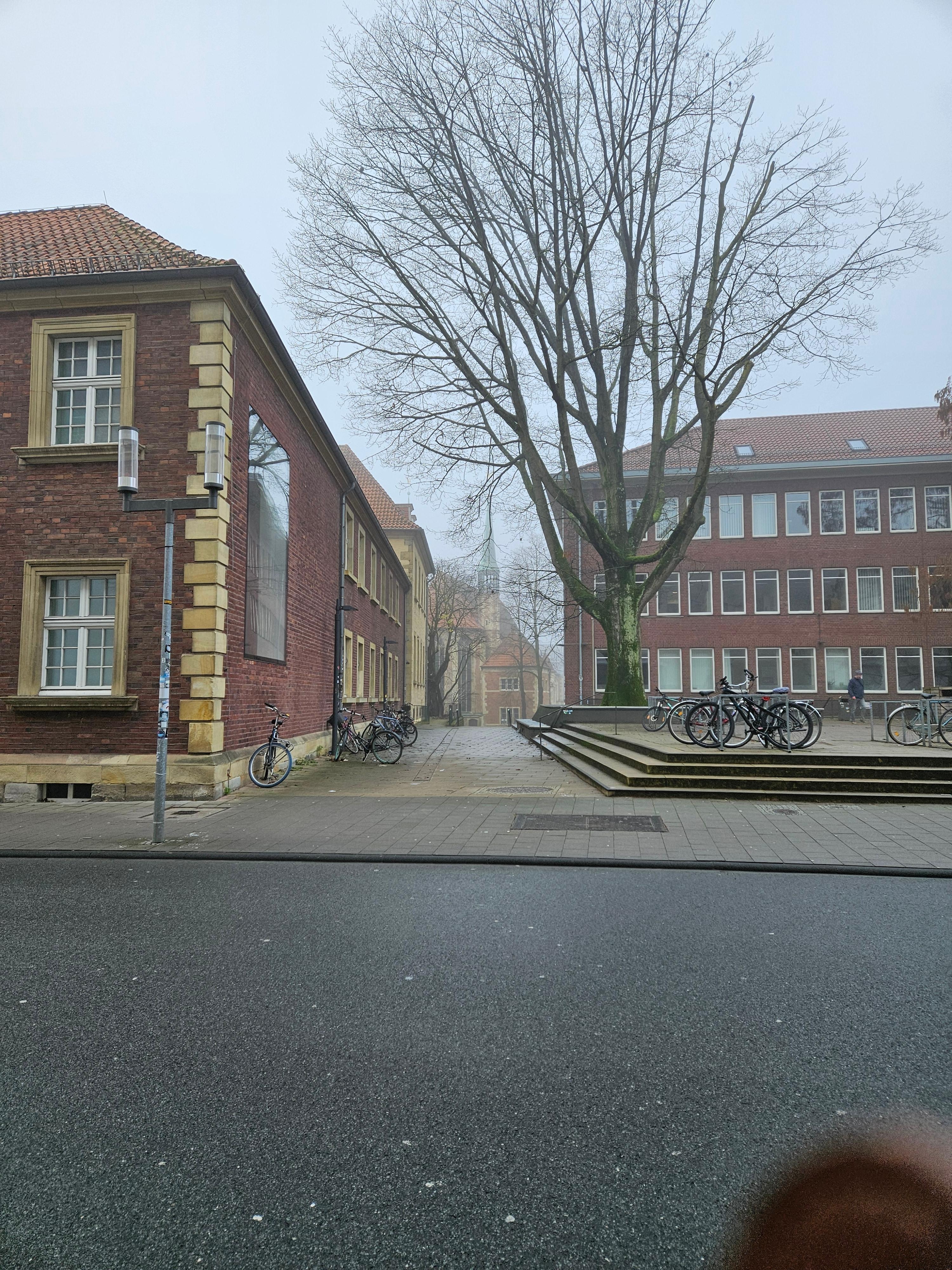 Ein Tagesausflug in Münster.