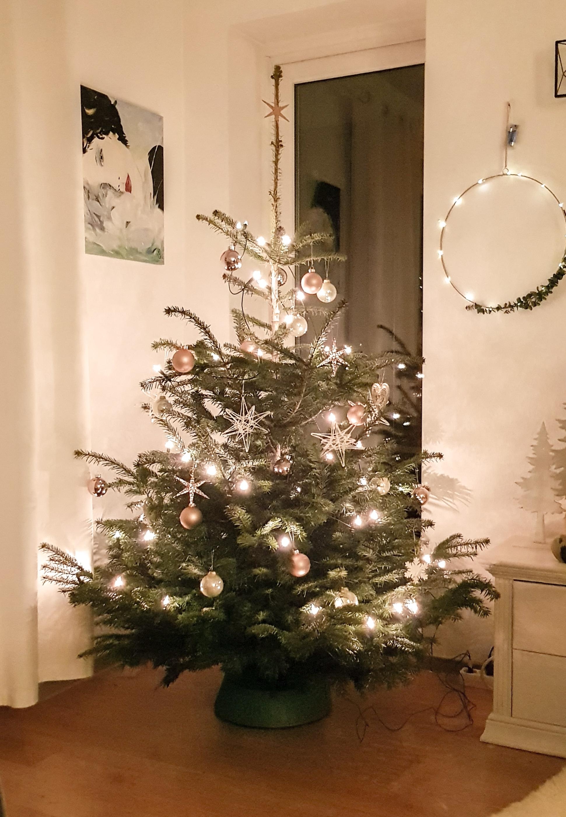 Ein wunderschönes Weihnachtsfest wünsche ich euch 🎄
#christmastime #christmas #christmastree #weihnachtsbaum
