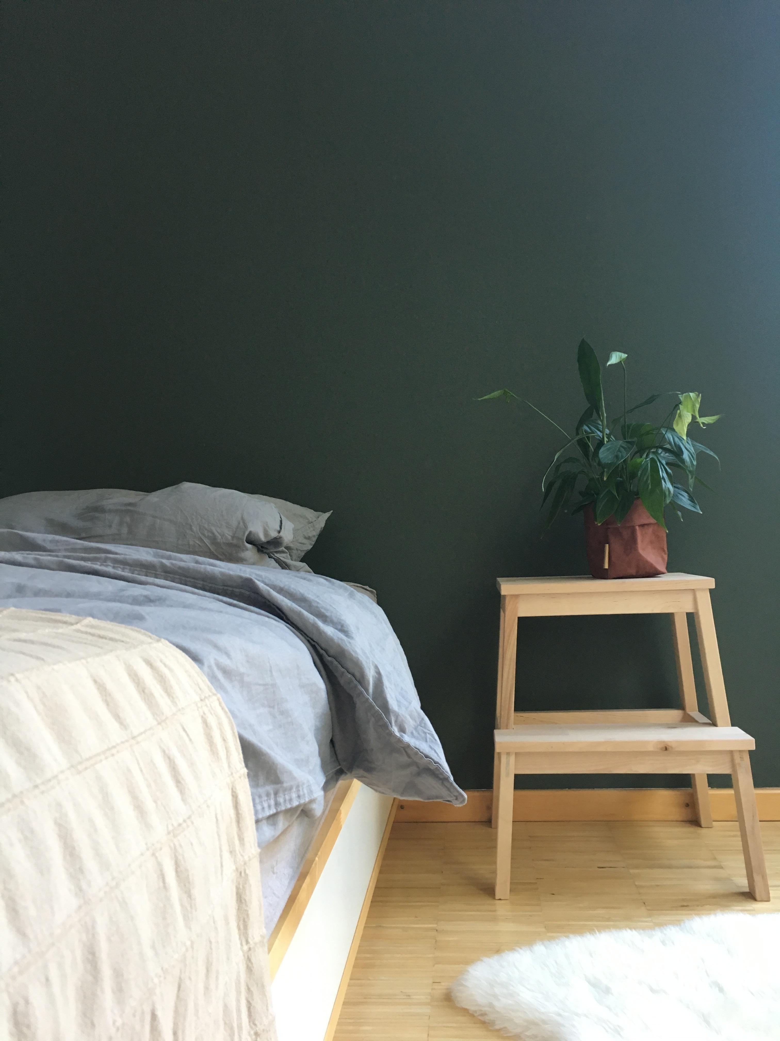 Eine grüne Wand bringt Harmonie!

#interior #home #green #wandfarbe #schlafzimmer #holz #leinen #farbe #pflanzen #bett