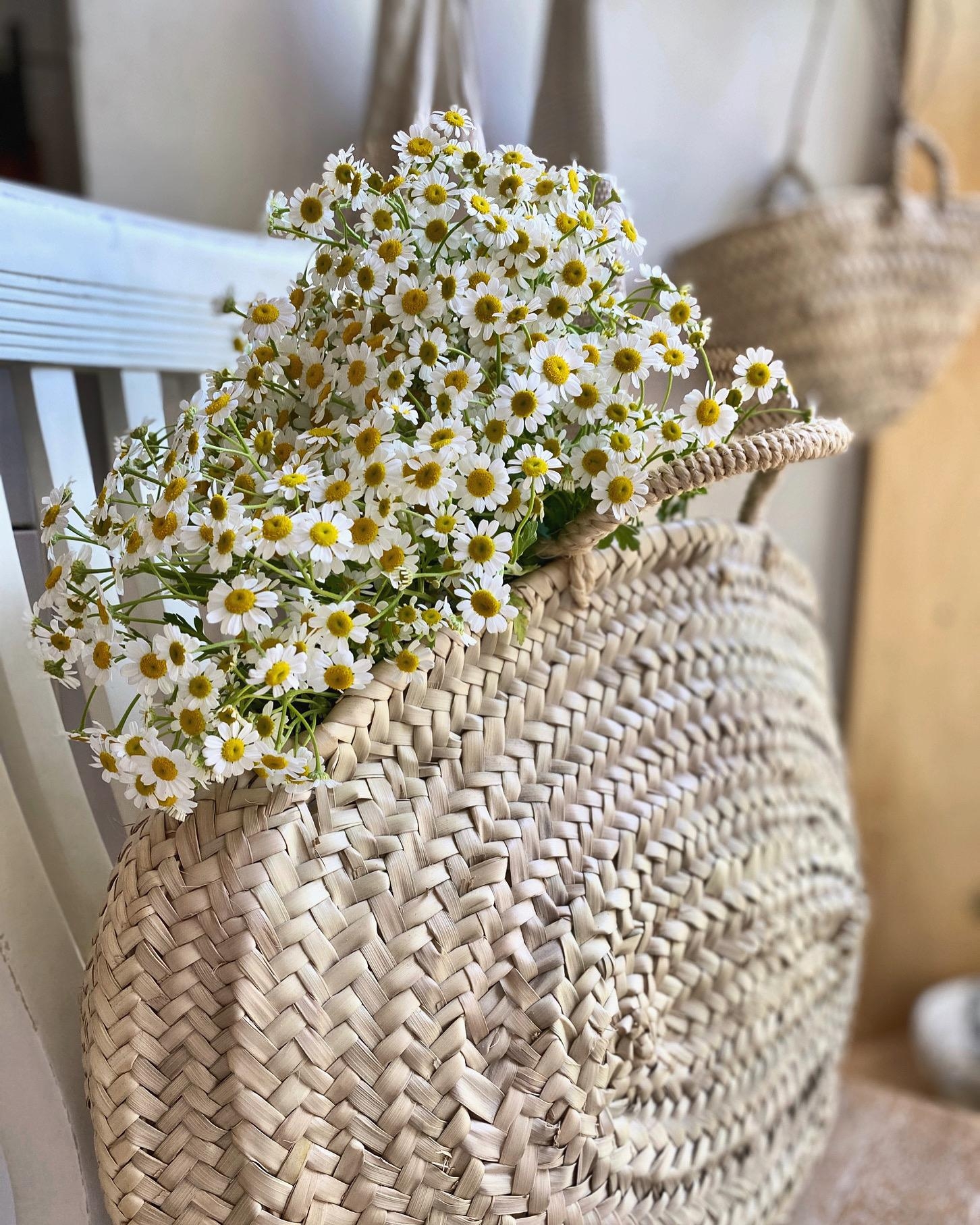 Eine Korbtasche voll mit Blumenglück! Happy Friday 🌼💛🌼
#blumen#freshflowers#couchliebt#couchstyle#interior#hygge