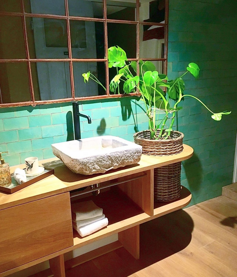  Eine Monstera im Bad 🌿 #zimmerpflanze #livingchallenge #Pflanze #Badezimmer #Badezimmerpflanze