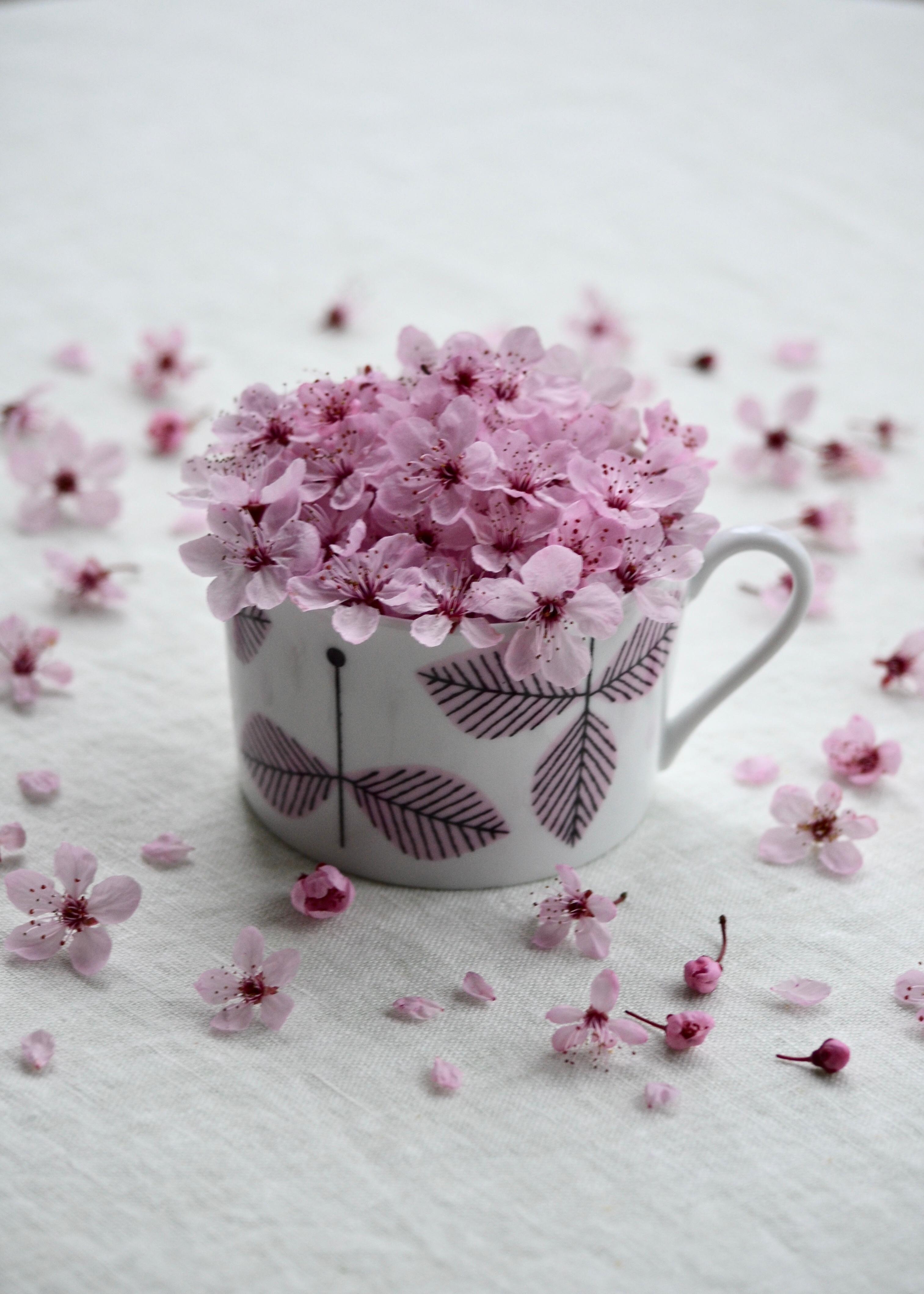 Eine Tasse Frühling #einetassefrühling #blumentee #petitsourire #frühlingsgefühle #houseofrym