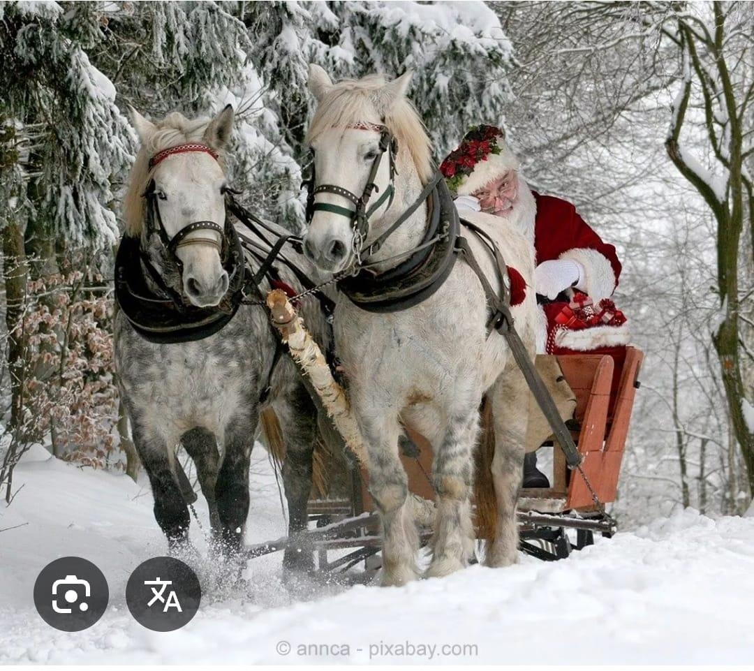 Eine wunderschöne Weihnachtszeit wünsche ich euch allen 