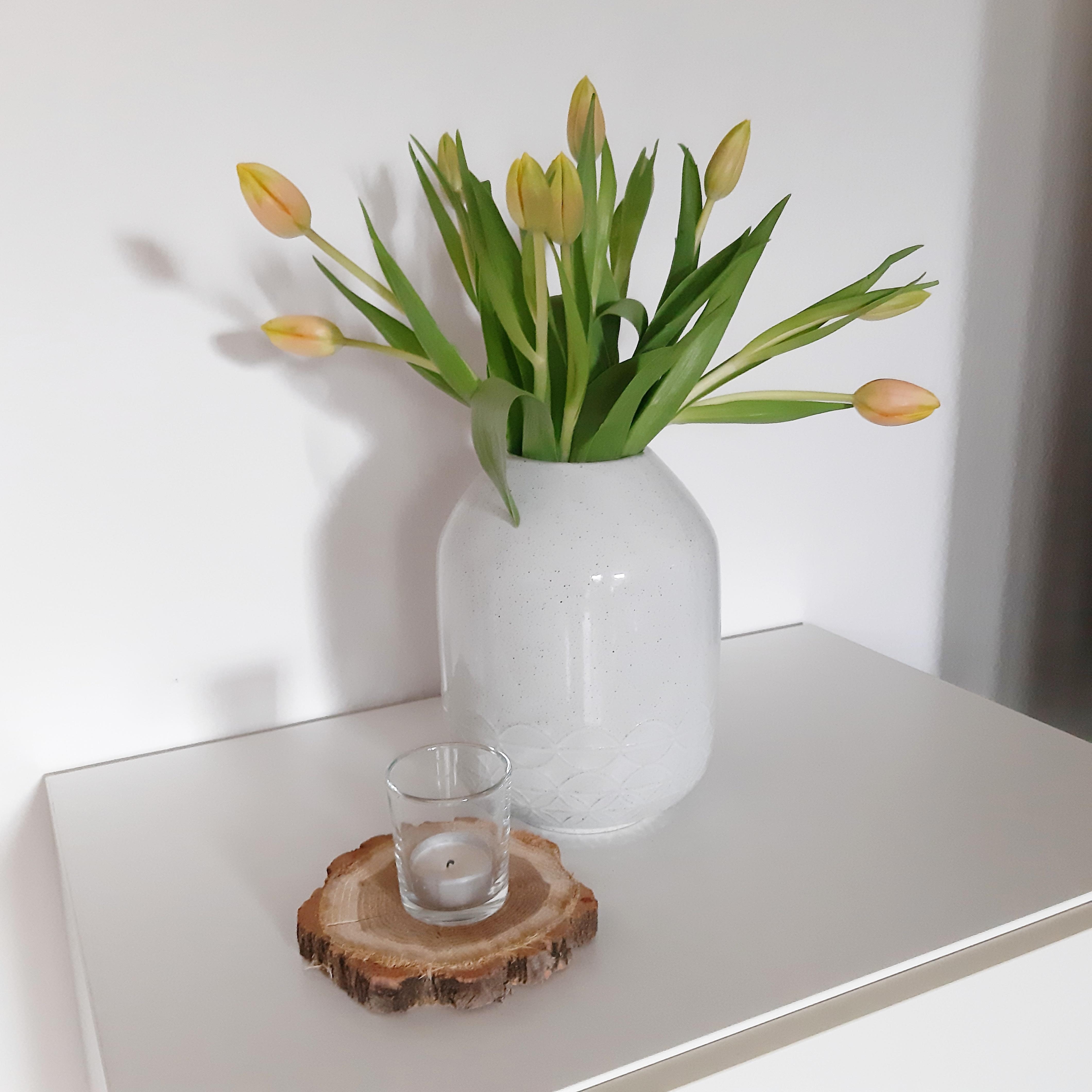 Einen schönen Sonntag an alle! #tulpenliebe #sonntag #couchstyle