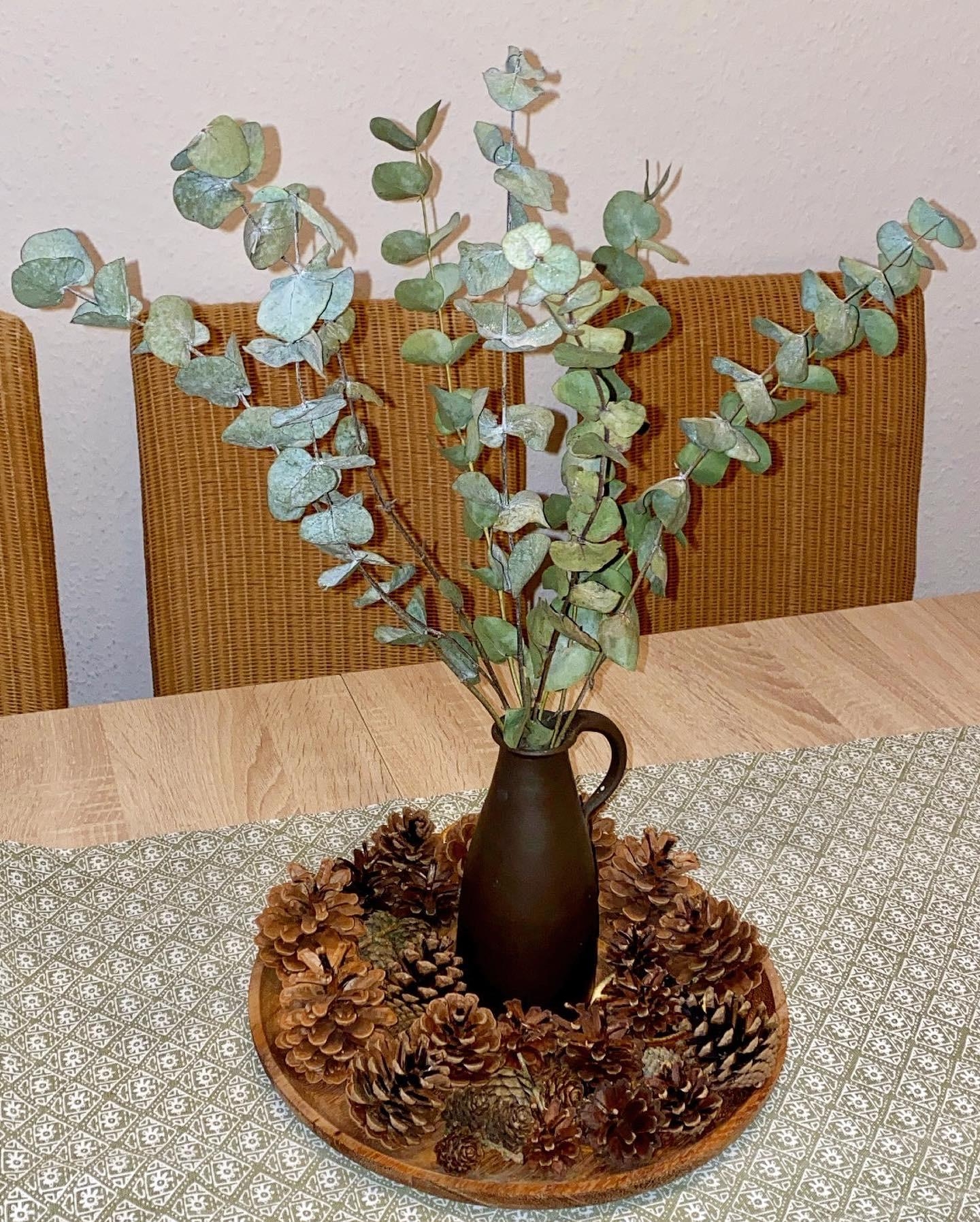 Einfache Deko mit Eukalyptus und Zapfen 

#eukalyptus #zapfen #dekoration #winterdeko #dekoideen #deko #dekotablett