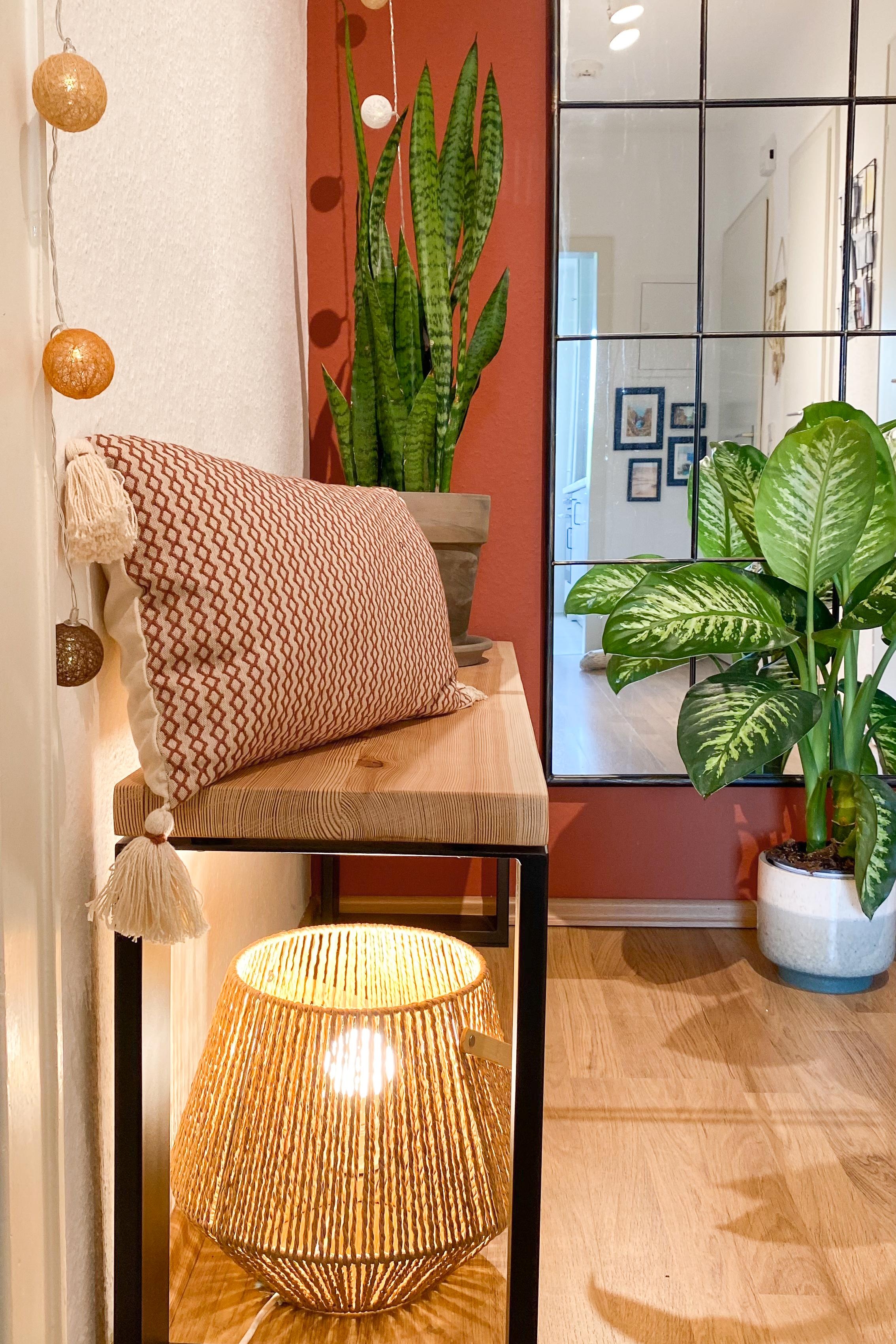 Eingangsbereich in warmen terrakotta und beige Tönen #boho #plant #hallway #lichterkette #cozy #homeinterior
