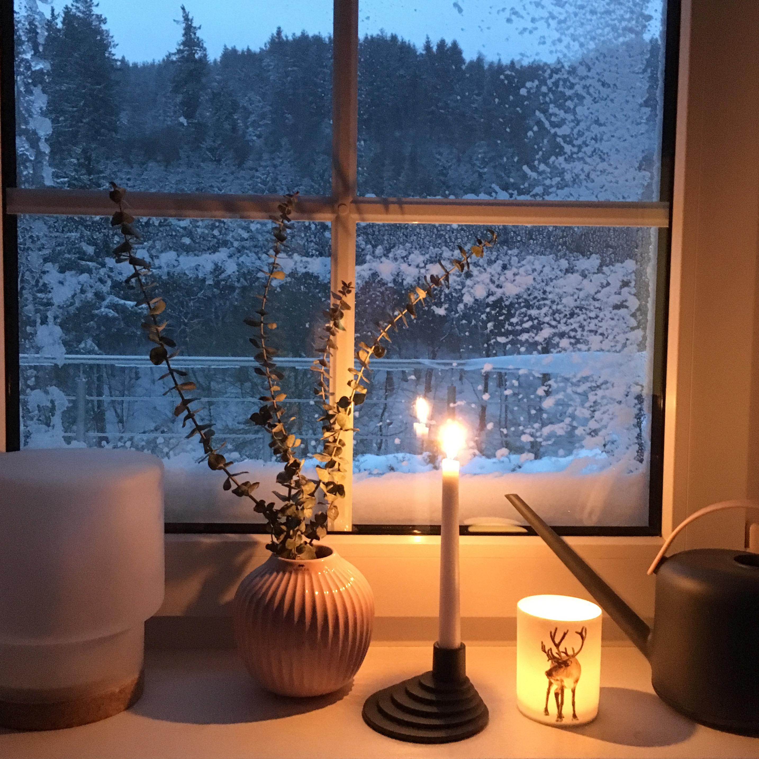 Eingeschneit - so sah’s vergangene Woche aus, wieder nichts mit weißer Weihnacht ... #schnee #snow #merrychristmas #cozy