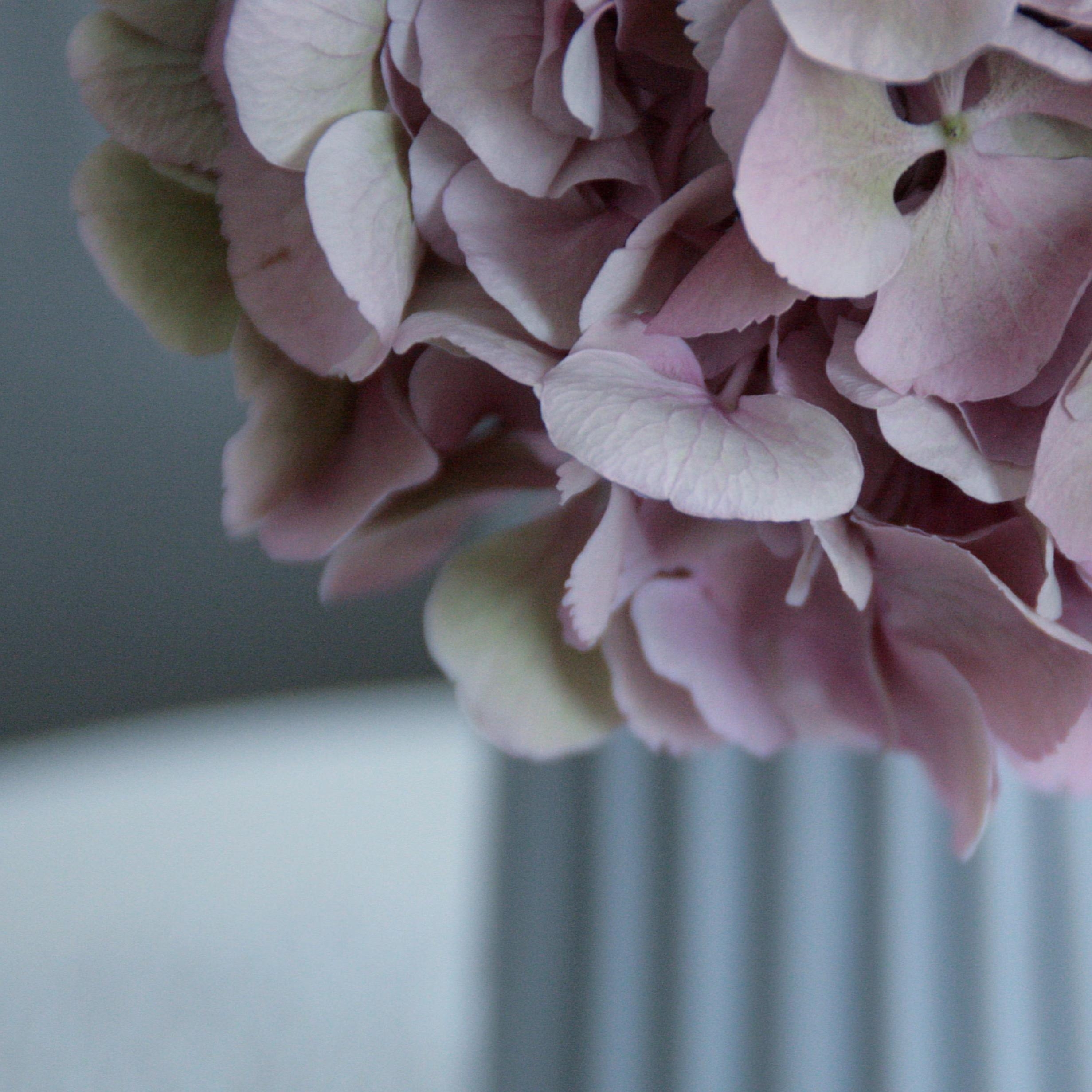 Eins meiner liebsten Blumen ist definitiv die Hortensie, die durch ihre Eleganz punktet. #hortensienwoche