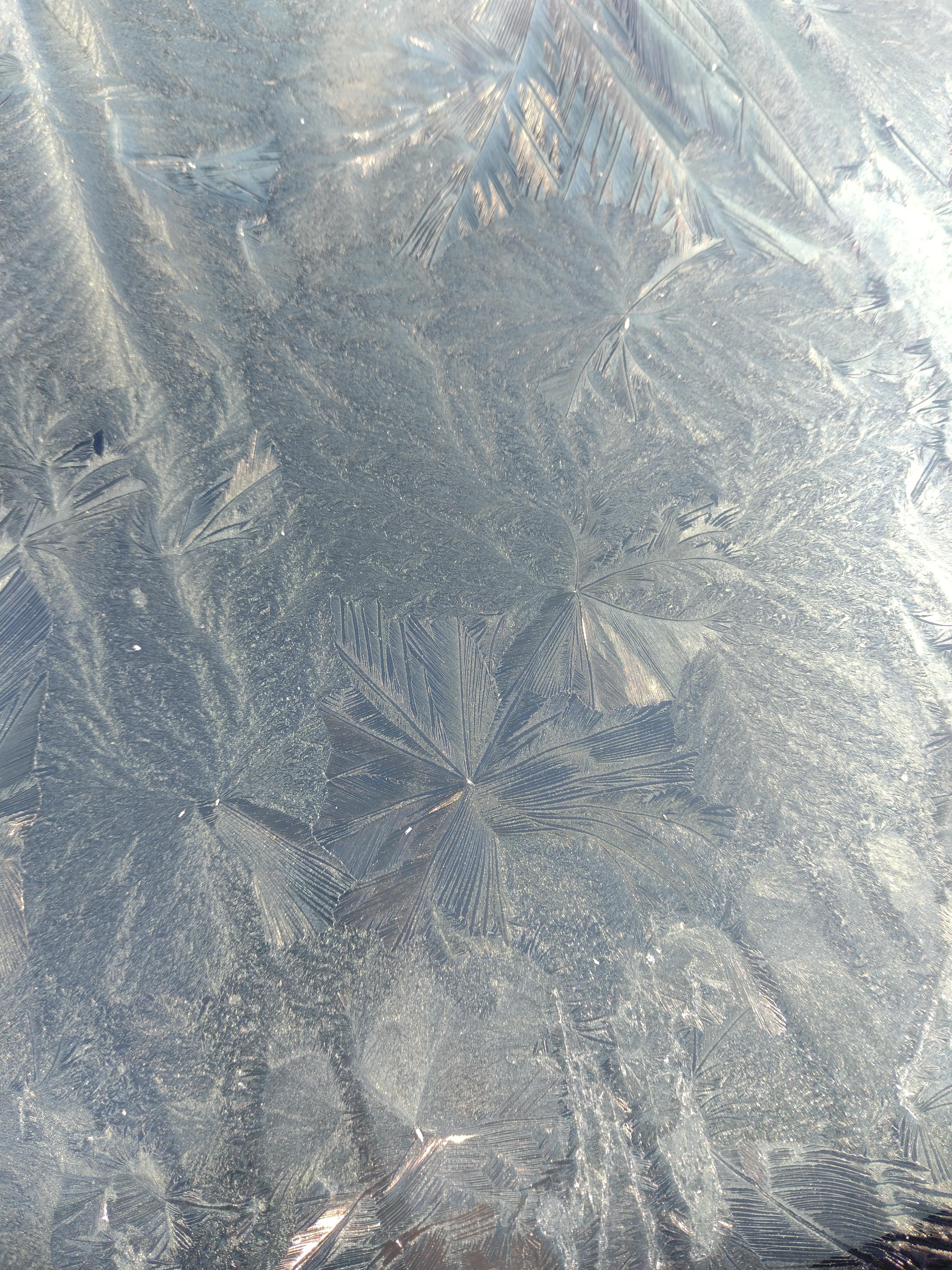 #eisblumen #frost #windschutzscheibe