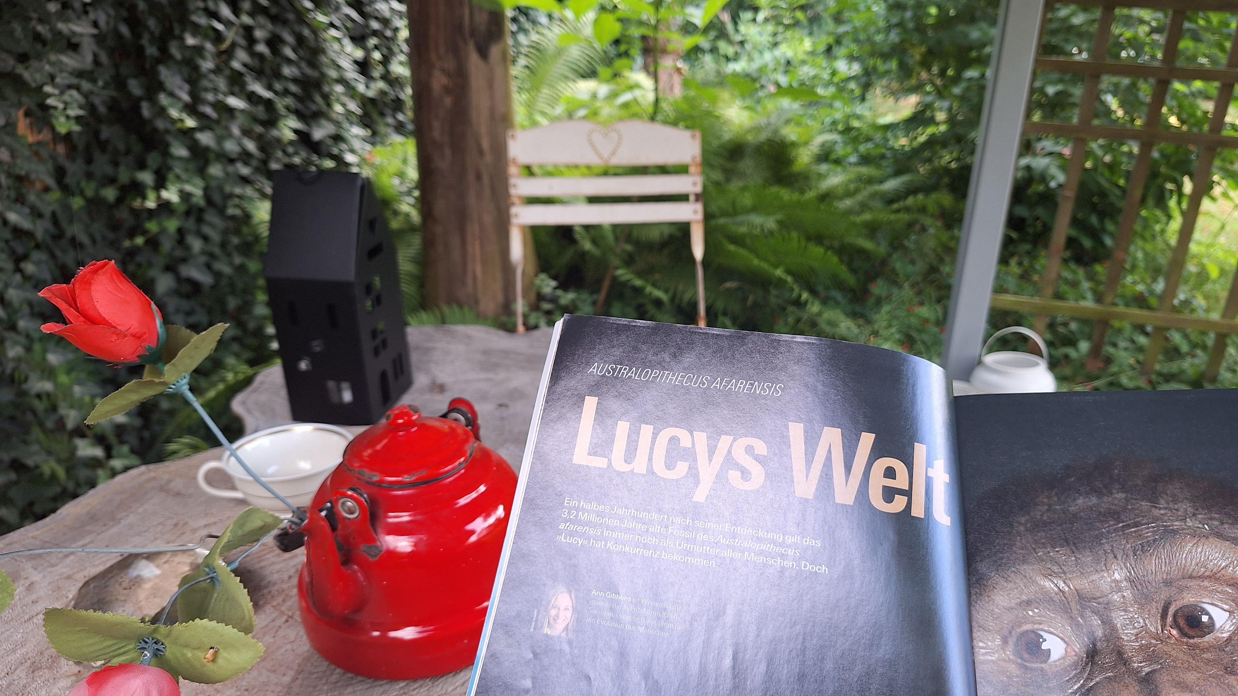 .Endlich entspannen...
#Entspannung #Lektüre #Spektrum #Ruheplatz #unterdemHäusschen 