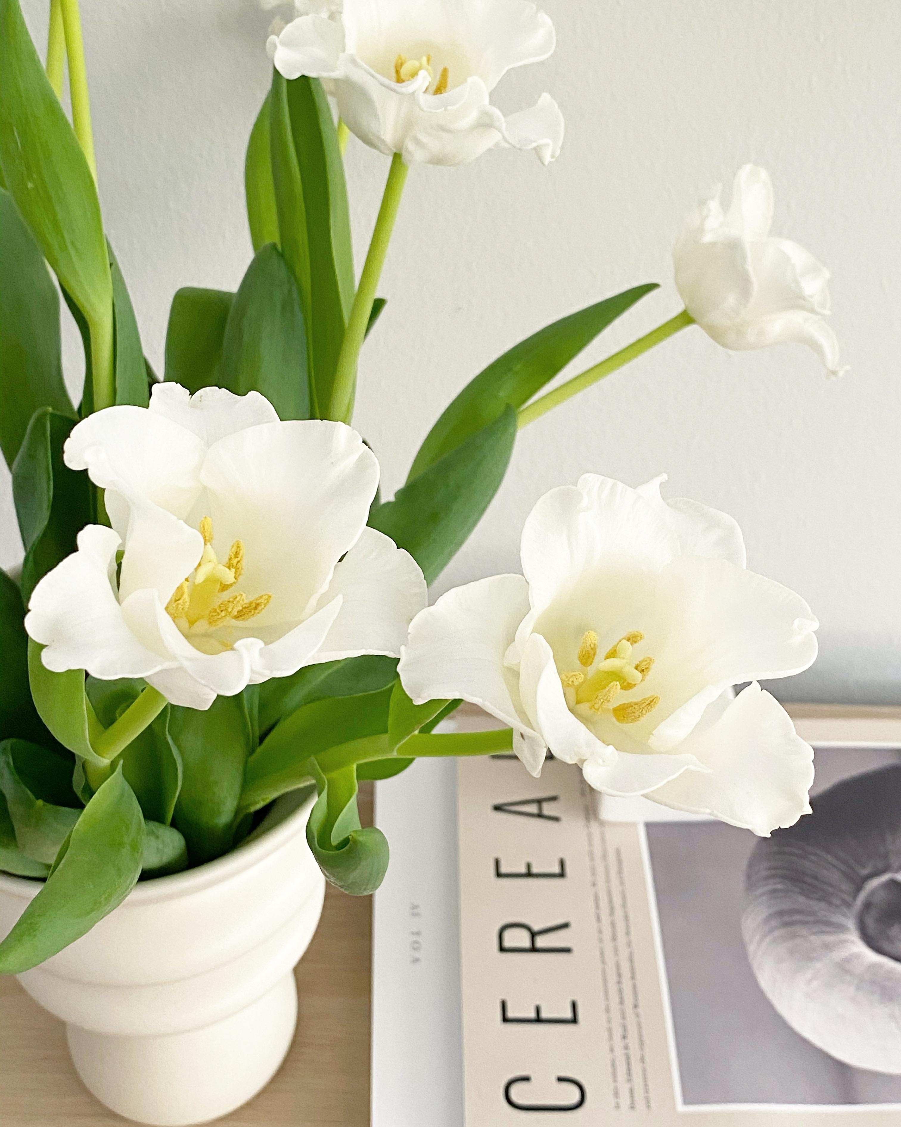 Endlich Frühling #tulpen #vase #freshflowerfriday #blumendeko #coffeetablebooks 