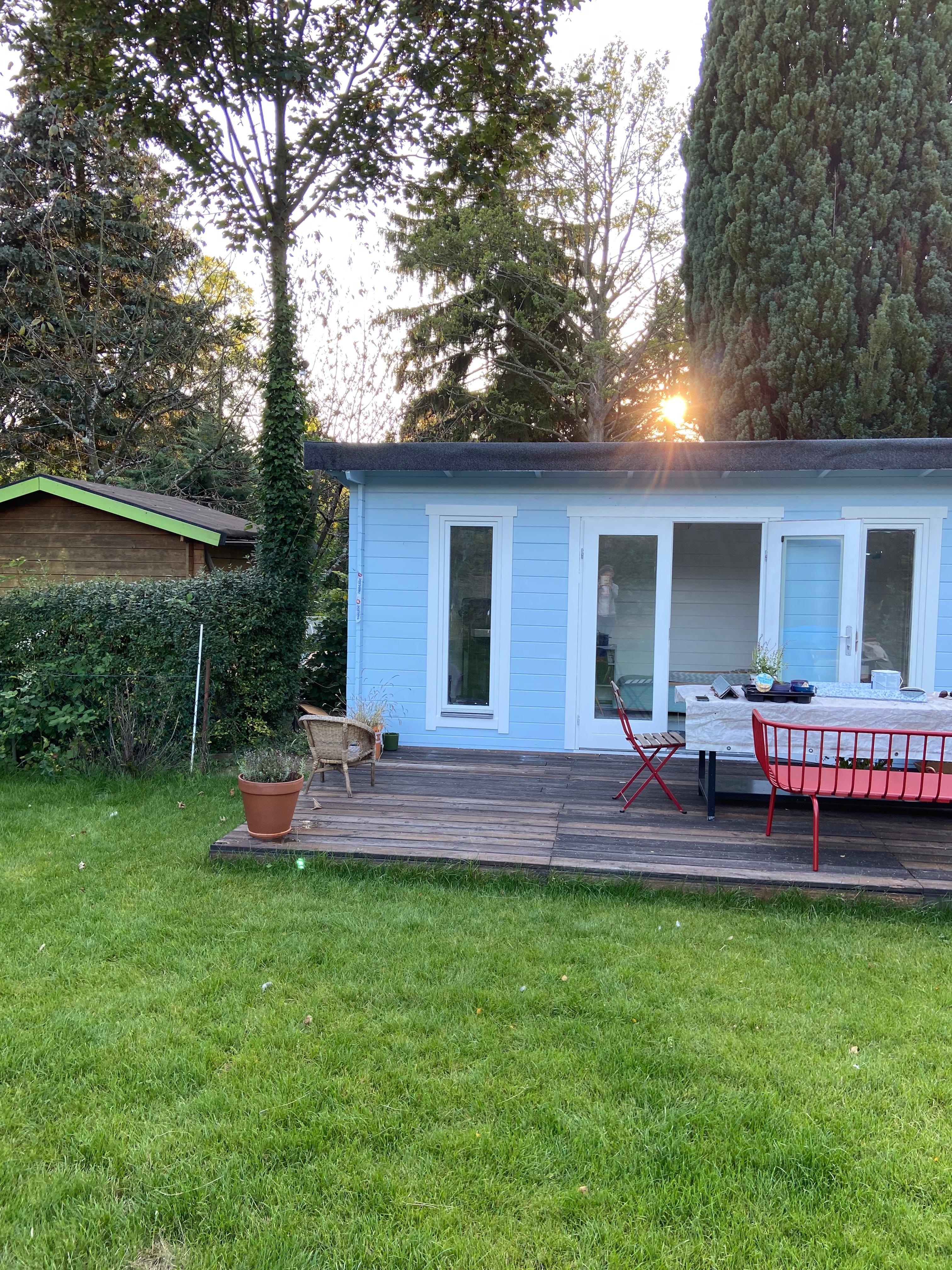 Endlich hat unser Gartenhaus den fertigen Anstrich
#gartenhaus #Schrebergarten #gartenliebe #inthecity #garten 