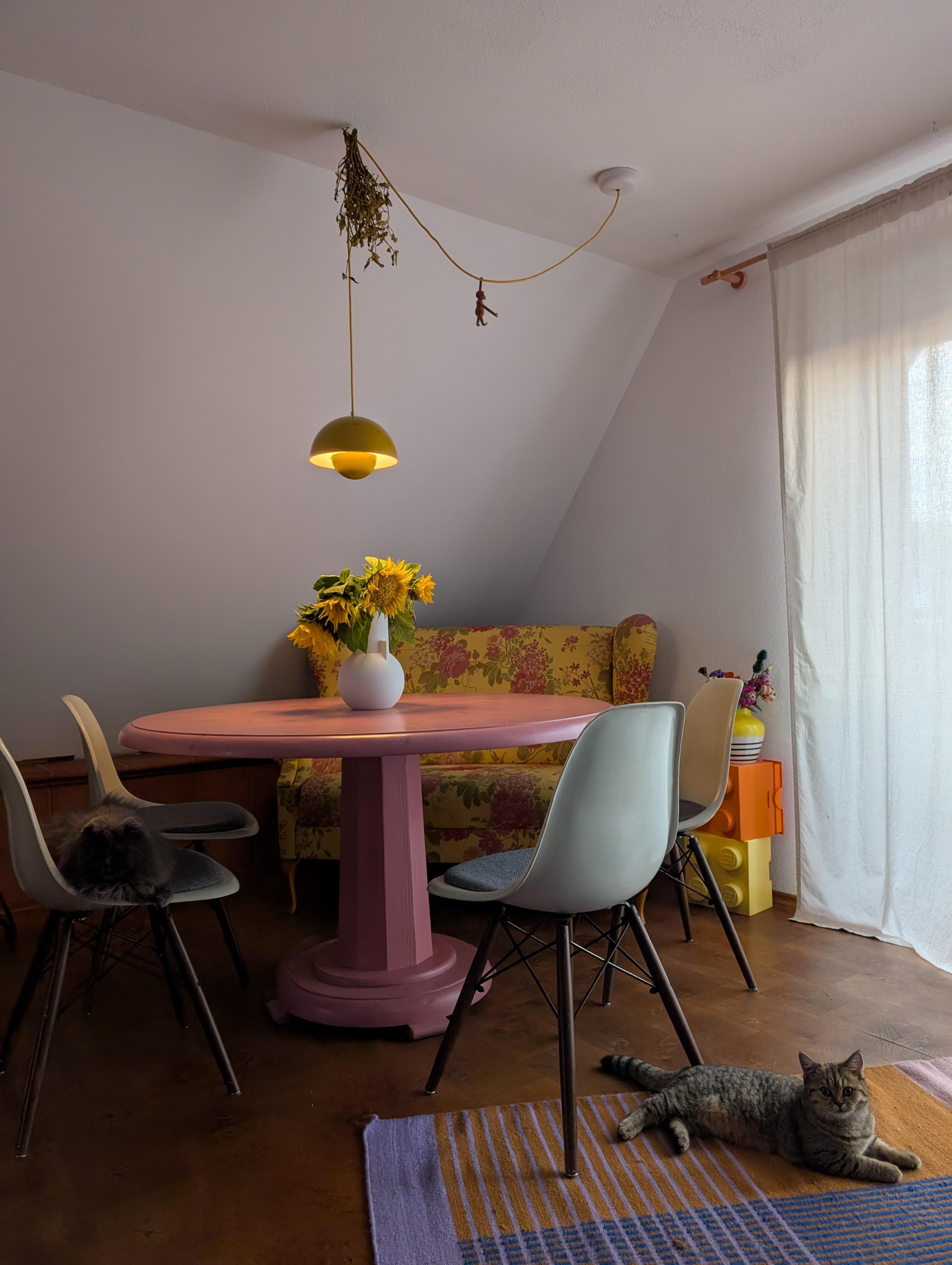 Endlich mal beide zusammen erwischt 
#esstisch #vitra #pink #cats