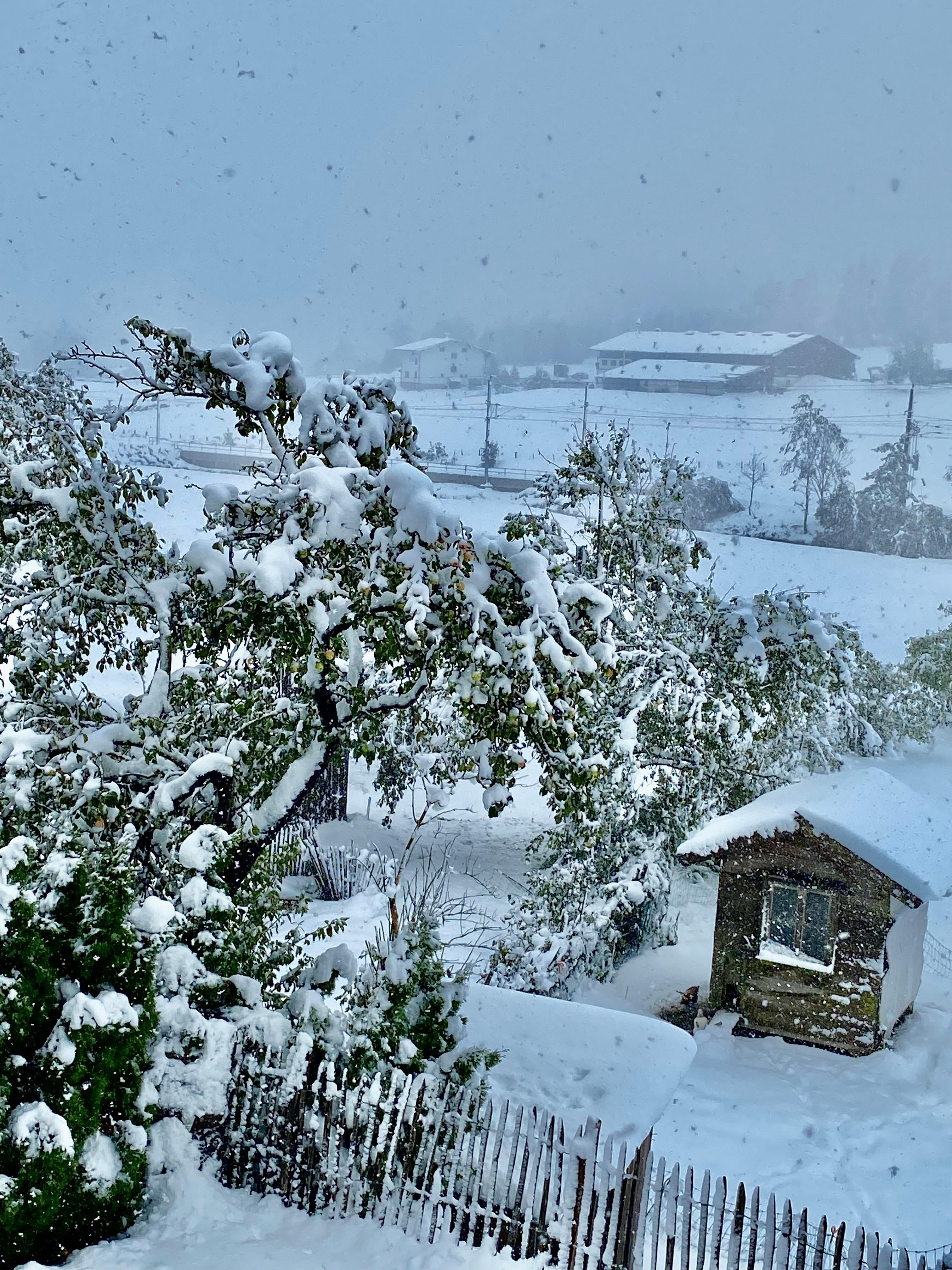 Endlich Schnee :)
#winter #schnee #dezember #weihnachten