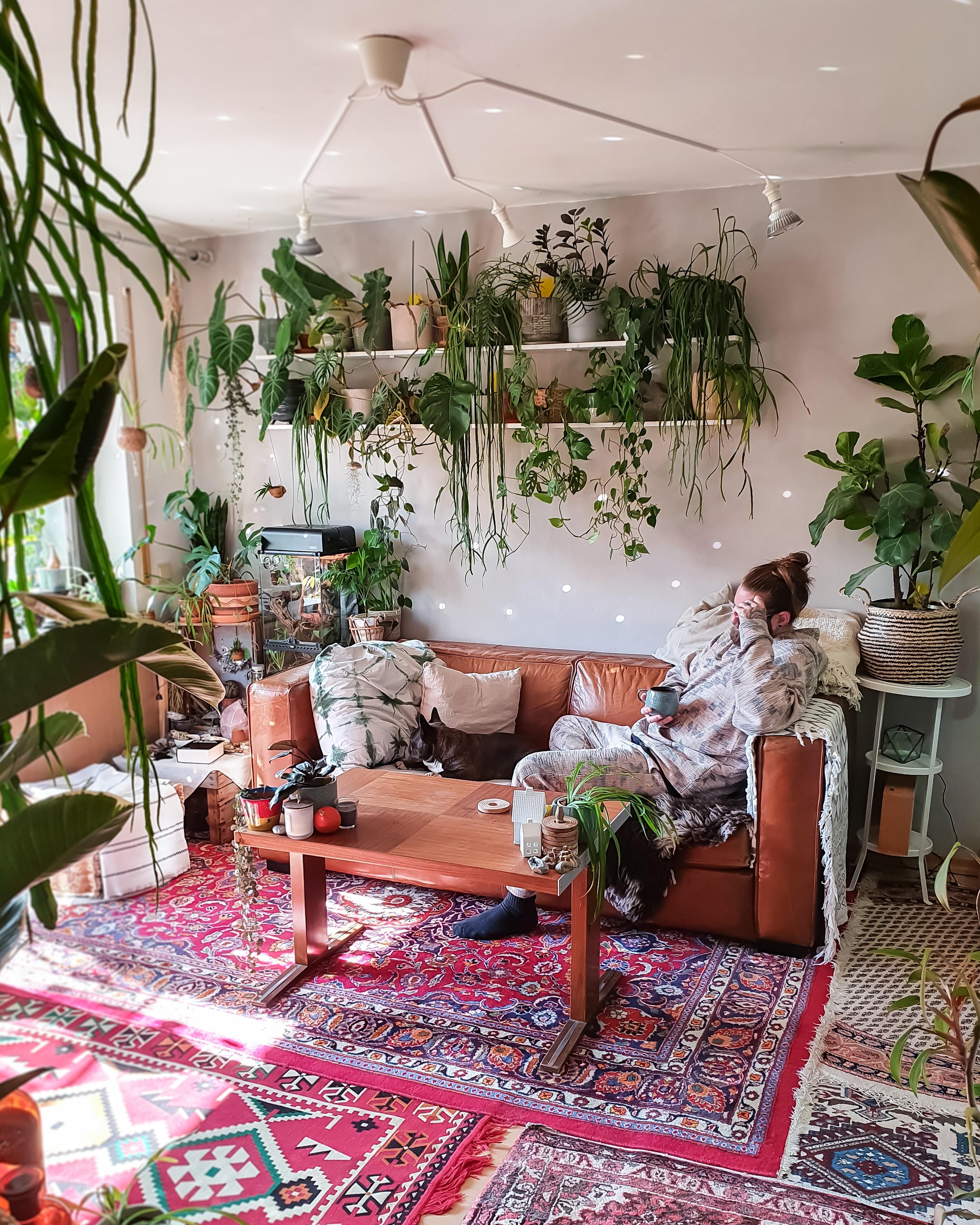 Endlich Urlaub #Wohnzimmer #Regal #Pflanzen #Couch #couchstyle #Sofa #Teppich 