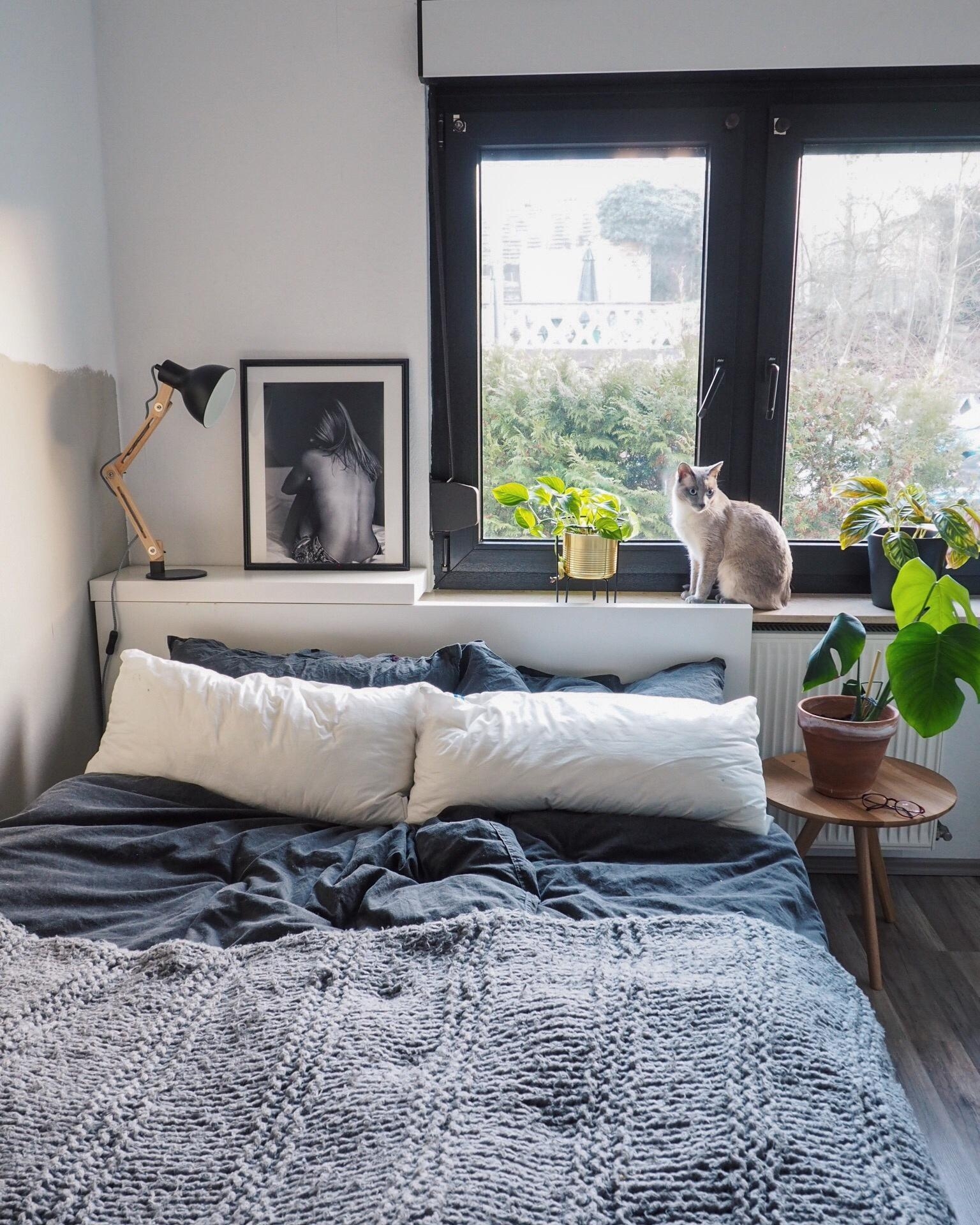 Endlich wieder ein paar Sonnenstrahlen 😍
#couchliebt #bedroom #bedroominspo #whiteinterior