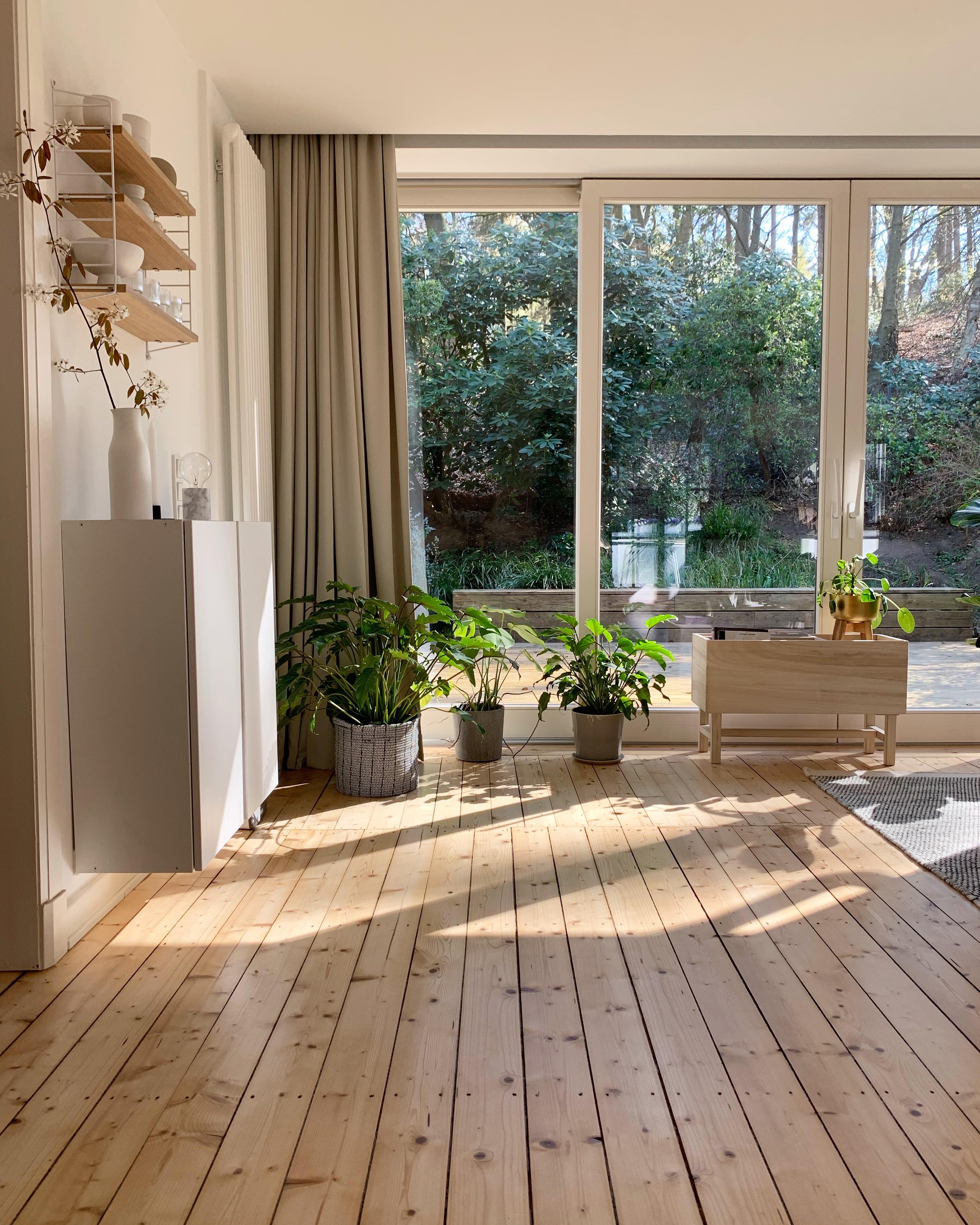 Endlich wieder #sonne ☀️. #wohnzimmer #ausblick #skandinavischwohnen
