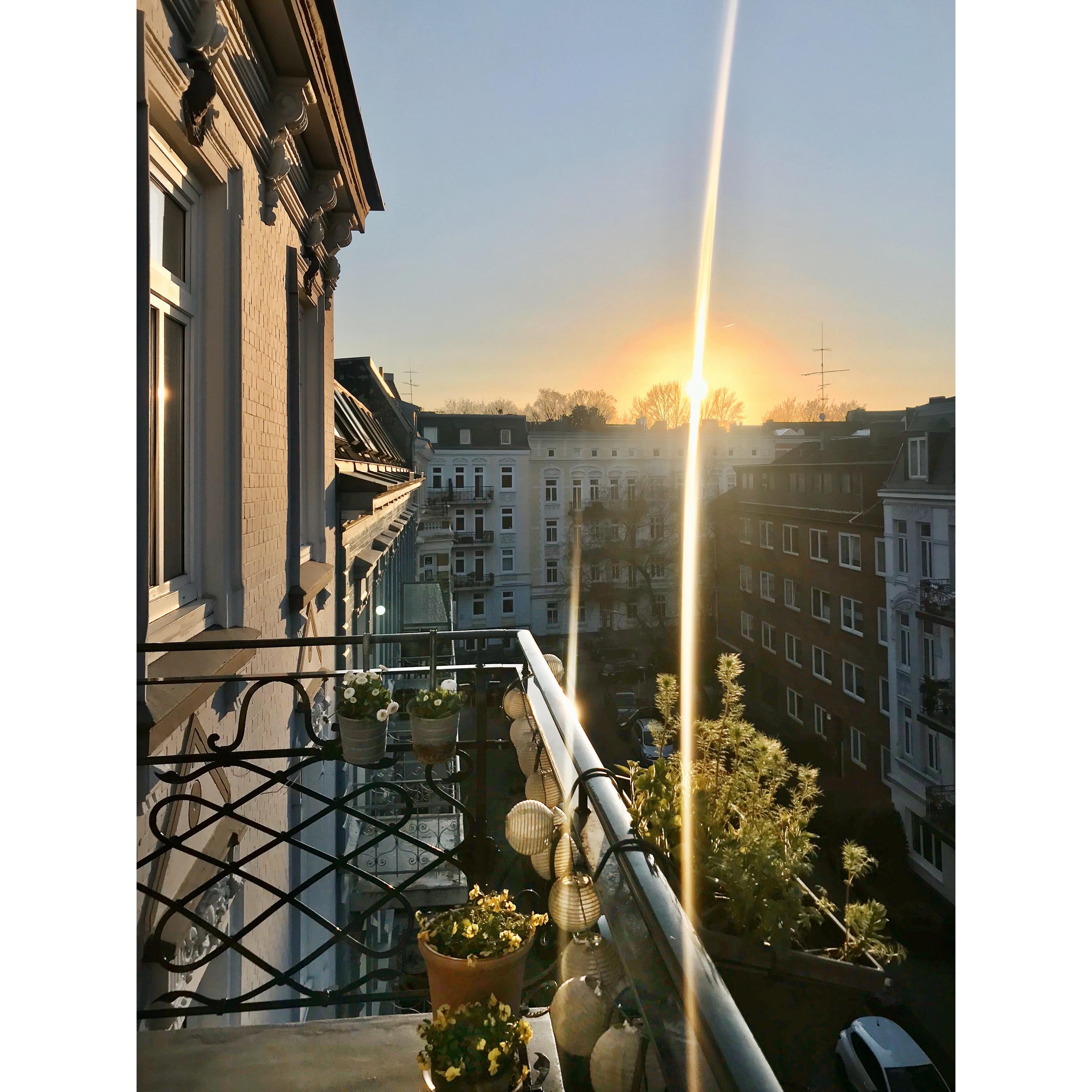 Endlich wieder Sonne auf‘m Balkon. Zum Glück, das hebt die Laune ungemein! #Balkonblick #Altbauliebe #Sonne