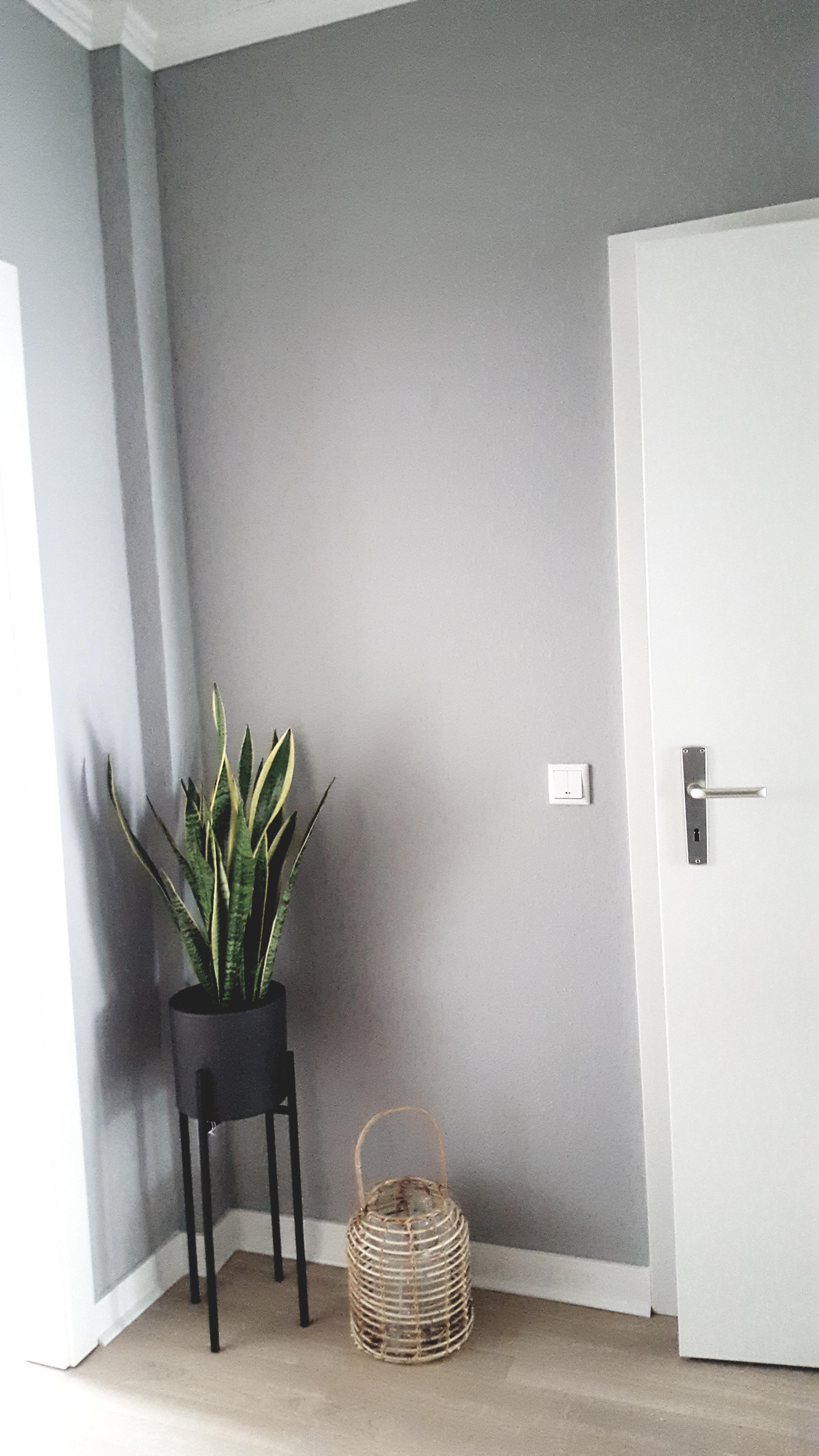 Entrance #minimalism #skandistyle #altbau 