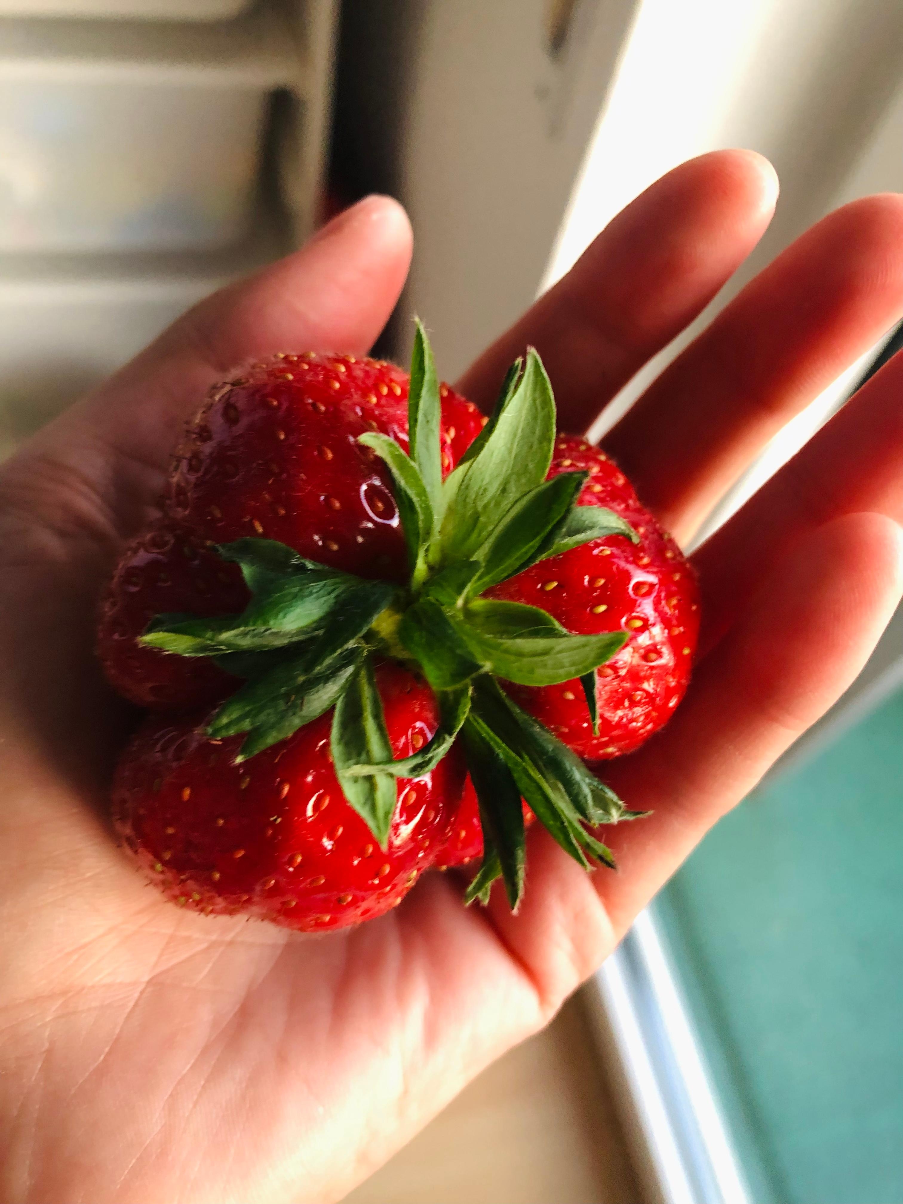Erdbeere oder Fleischtomate 🫣😅 #dickedinger #erdbeersaison