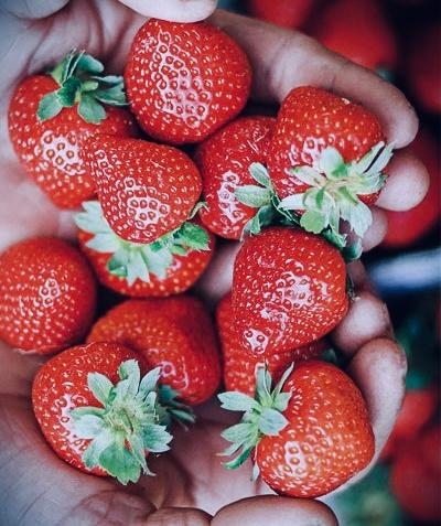 Erdbeerzeit, so lecker 😋 