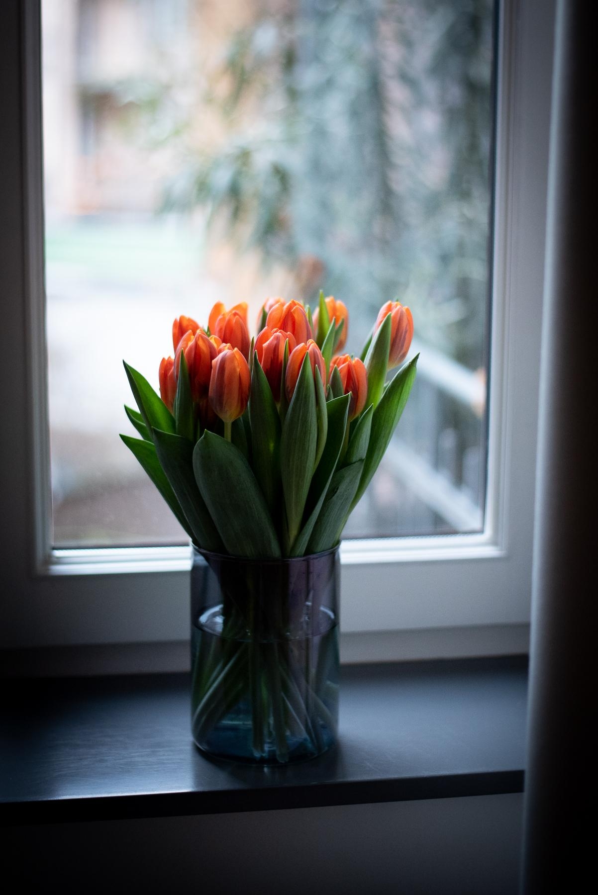 Erste Tulpen, der Frühling naht! #freshflowers #tulpen #deko #springiscoming #interior #vase