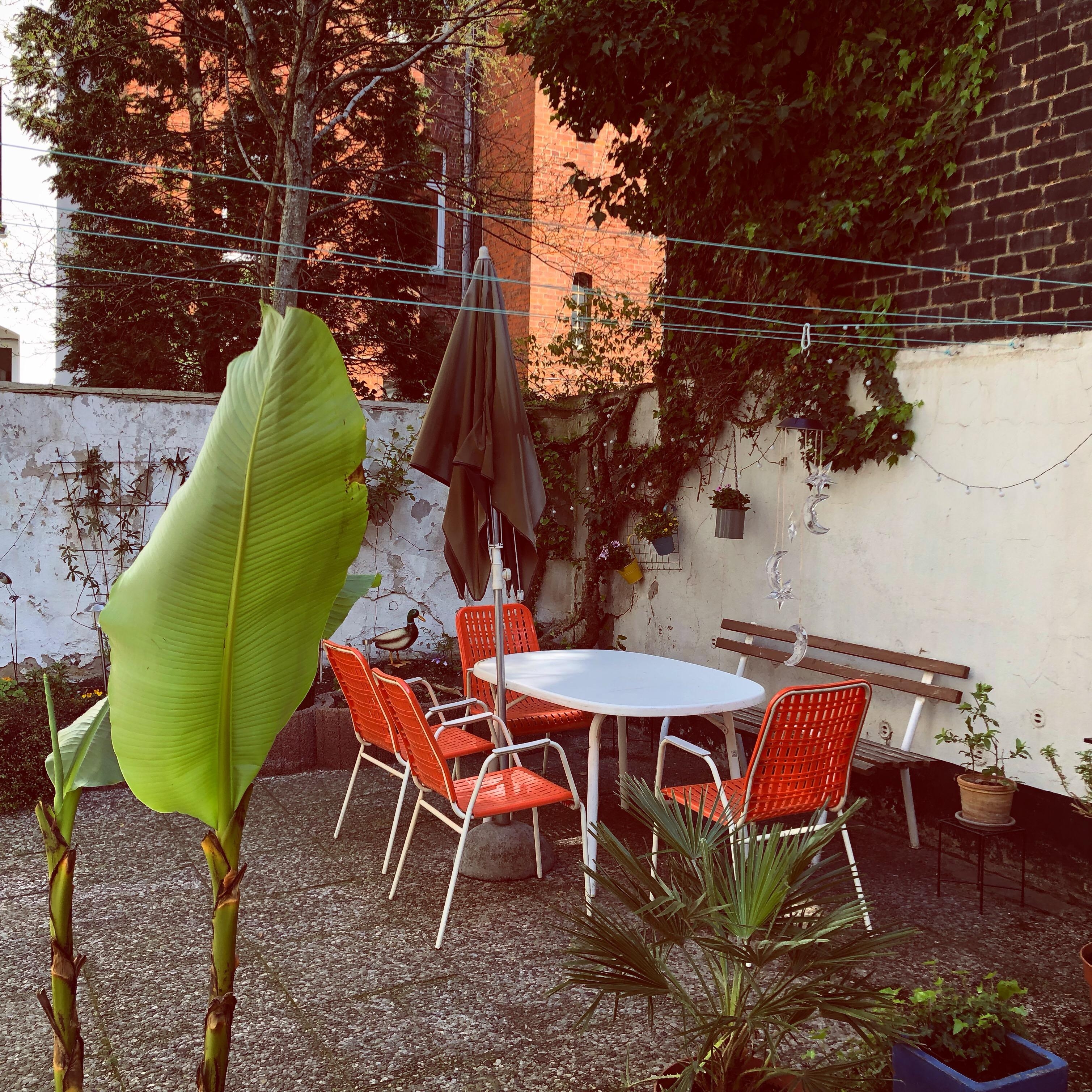 Es ist vielmehr der Innenhof.... langsam gehts los #balkon 2019 #backyard #vintage