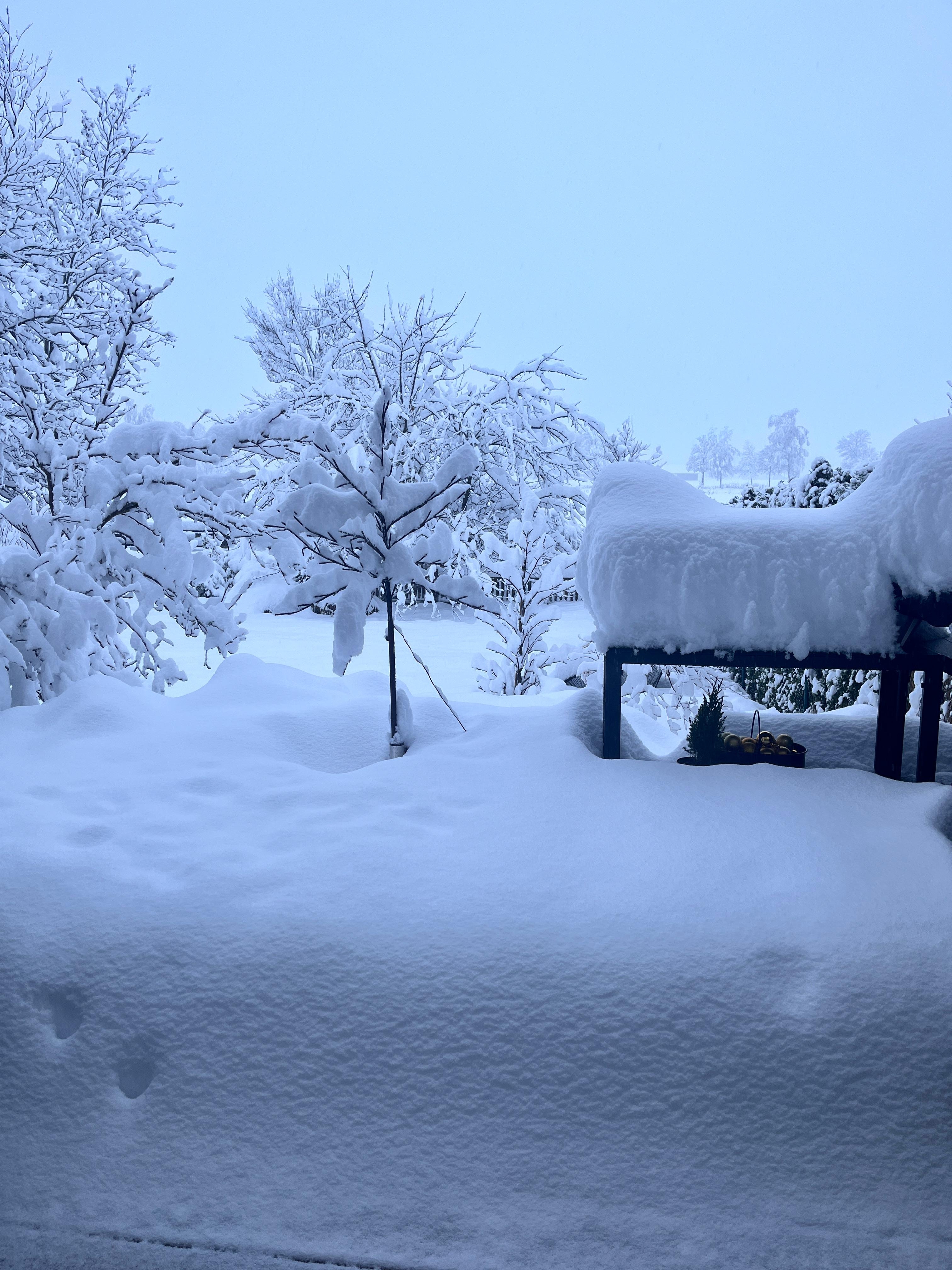 Es waren einmal eine Terrassen & ein Garten ❄️
#schnee#wintereinbruch#winterwonderland#letitsnow#schneechaos#eingeschneit#outdoorkitchen#winter