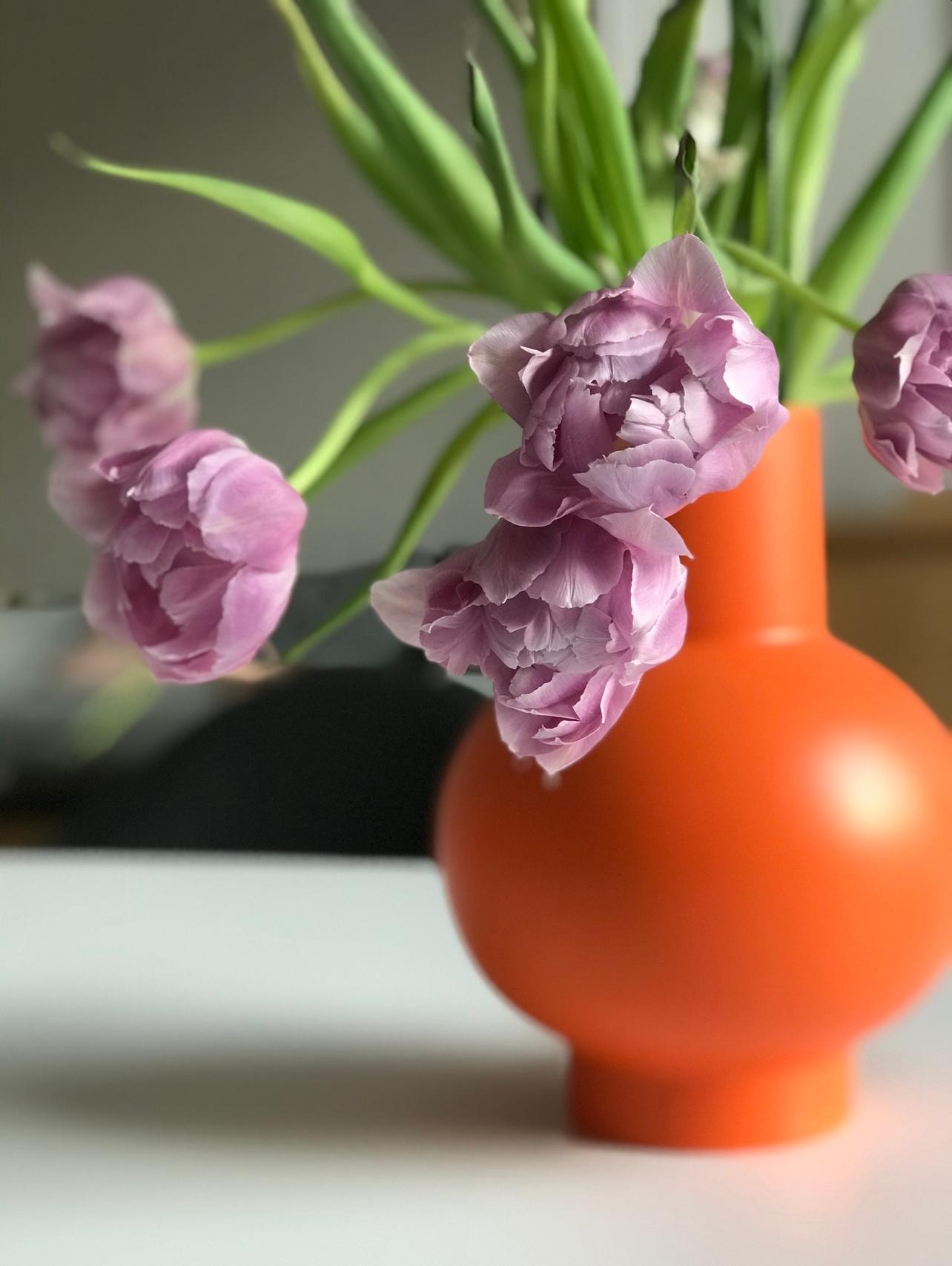 Es wir Zeit, dass der Frühling kommt! #tulpen #tulips #tulpenliebe #blumen