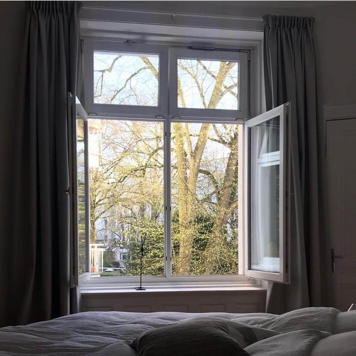 Es wird Frühling! 🙌🏻☀️ #frühling #sunshine #sonne #windowview #window #esgrüntsogrün #schlafzimmer #bedroom