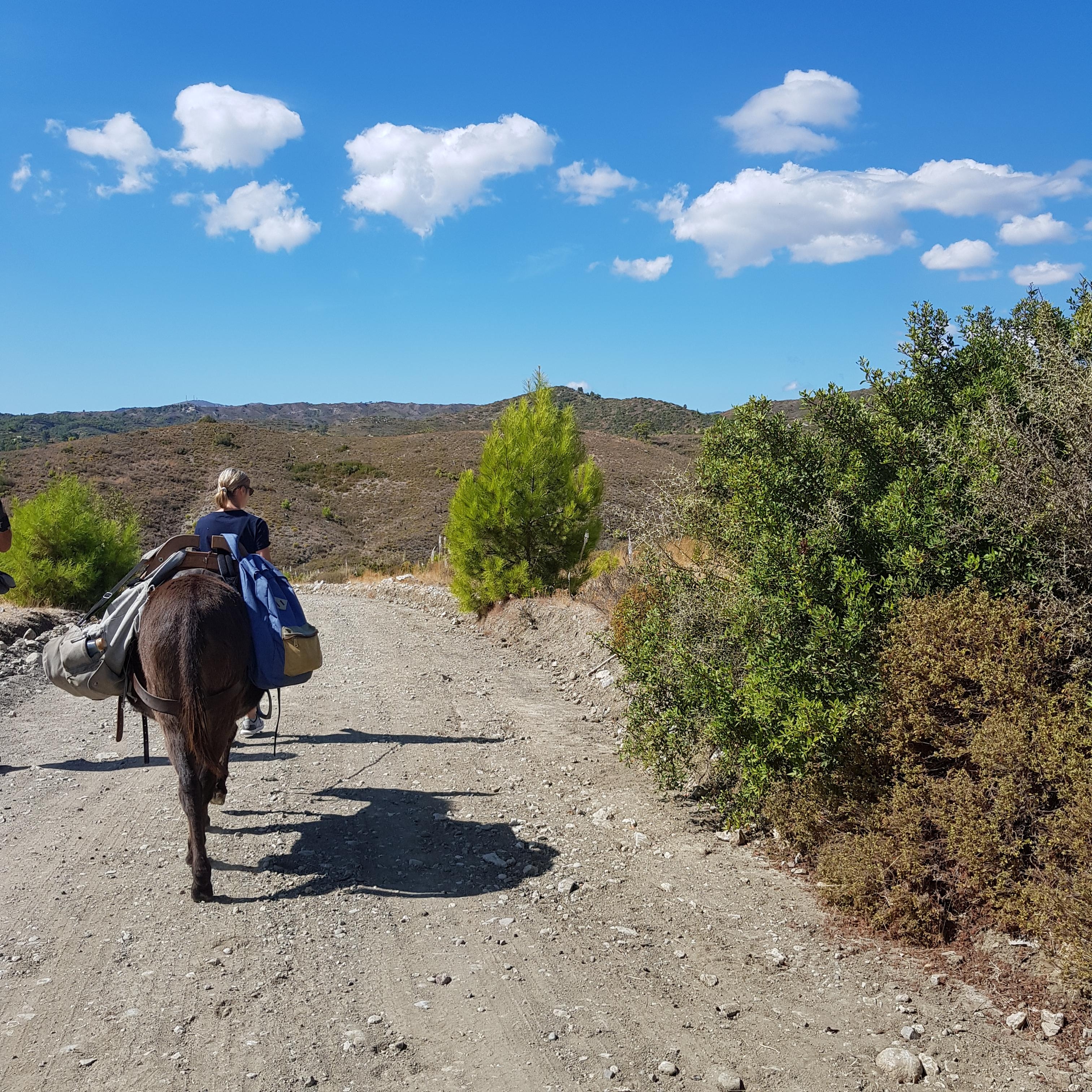 Eselwandern durchs Hinterland auf Rhodos ♡

#nature #rhodos #griechenland #esel