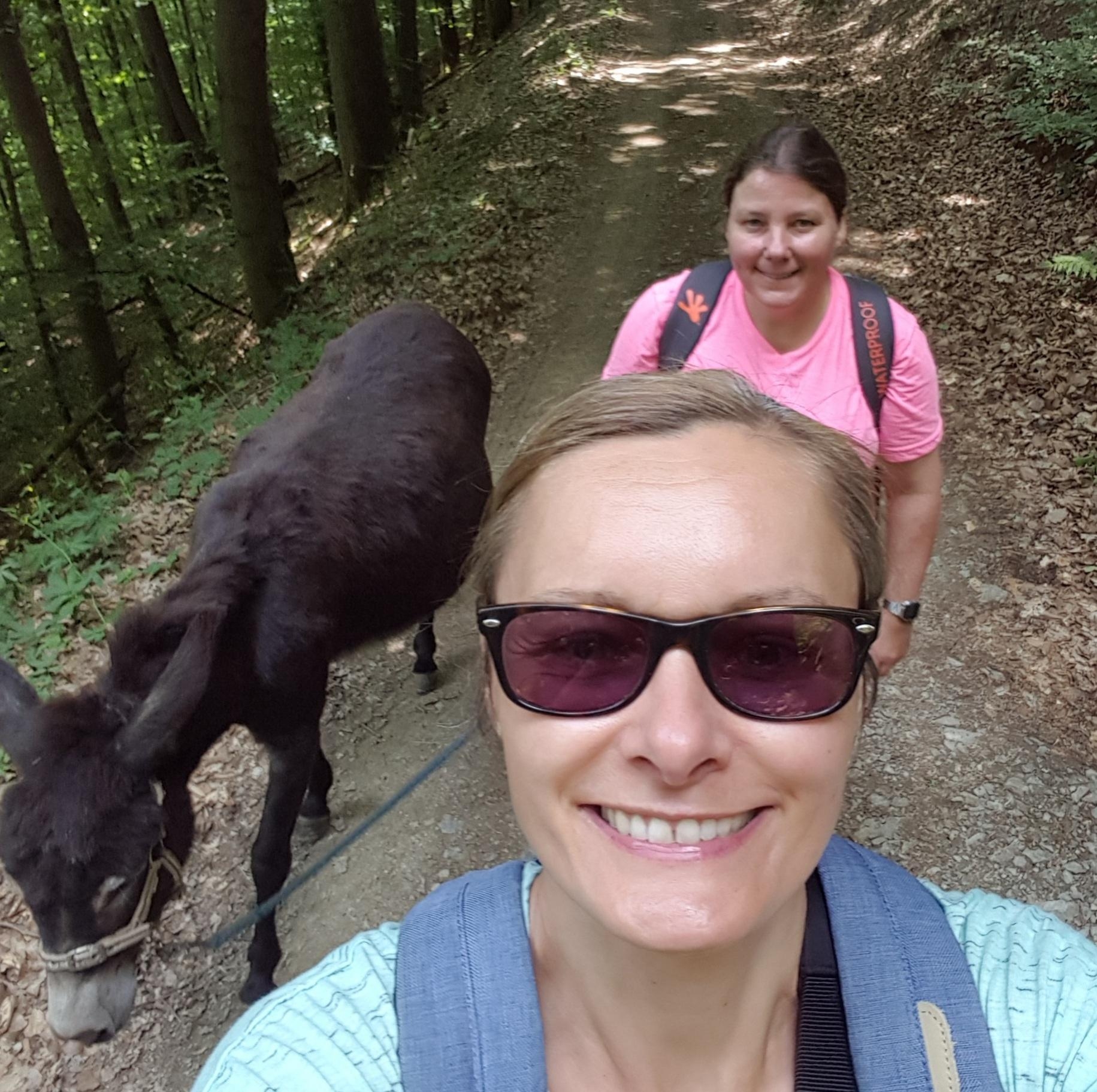 Eselwandern ist herrlich und man kann eine Menge lernen #travelchallenge #wandern